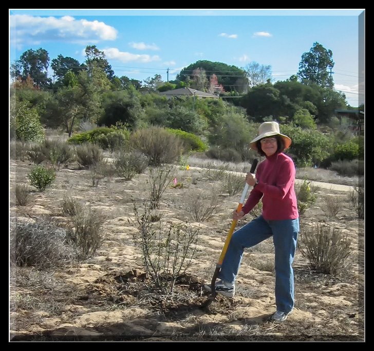 Initial Kiosk Planting, March 2009