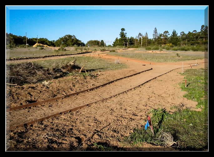 Pathway Development 2004