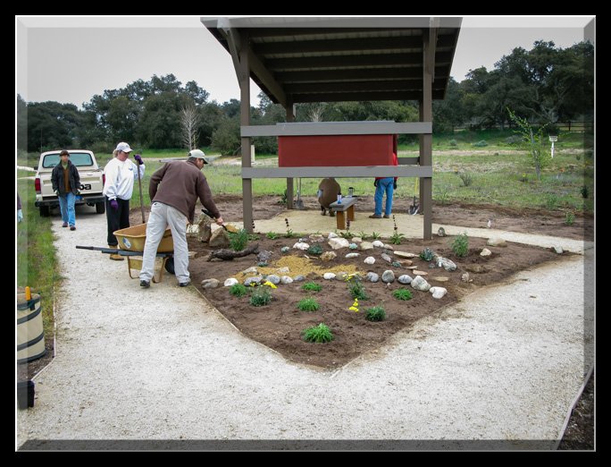 Initial Kiosk Planting, March 2009