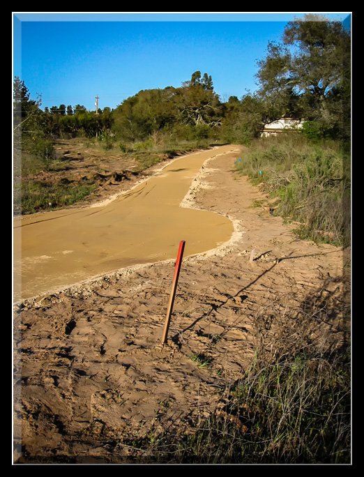 Pathway Development 2004