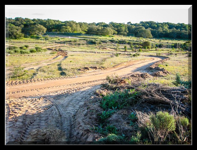 Pathway Development 2004