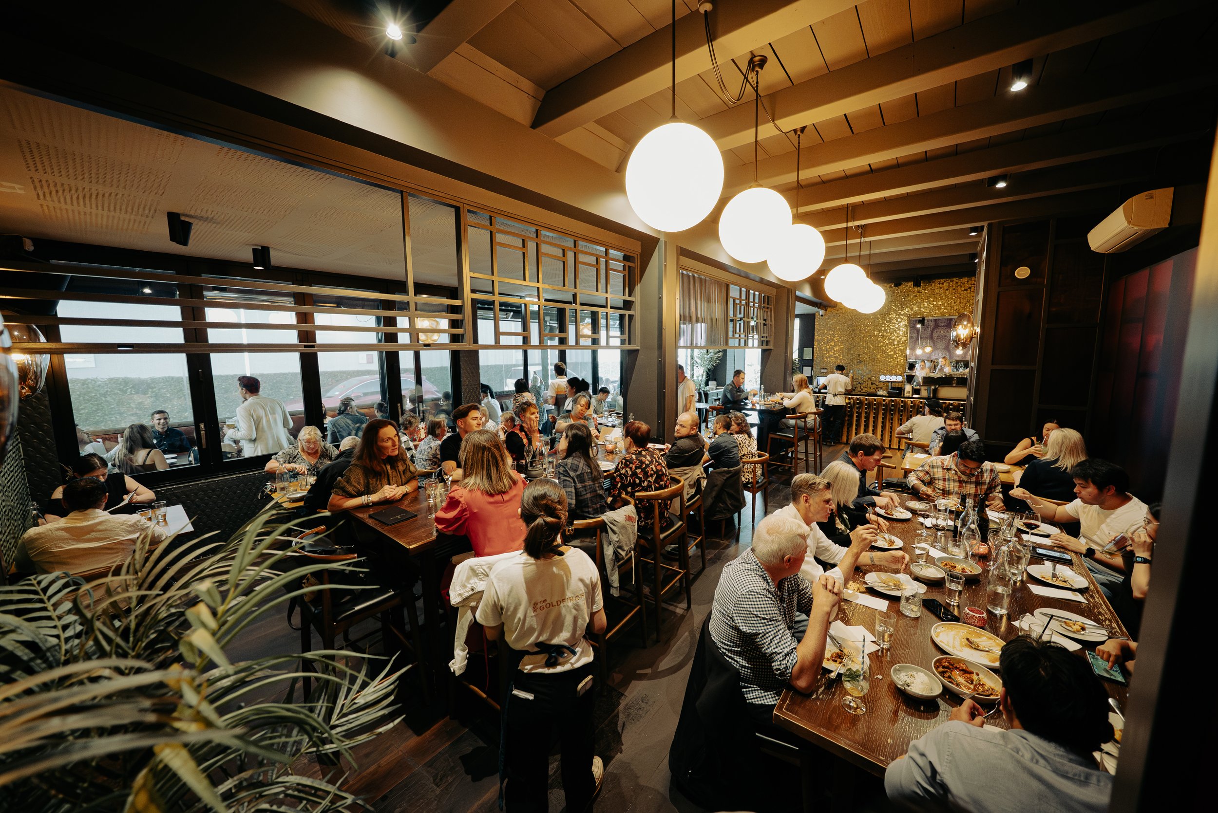 Busy Night Goldfinch-5.jpg