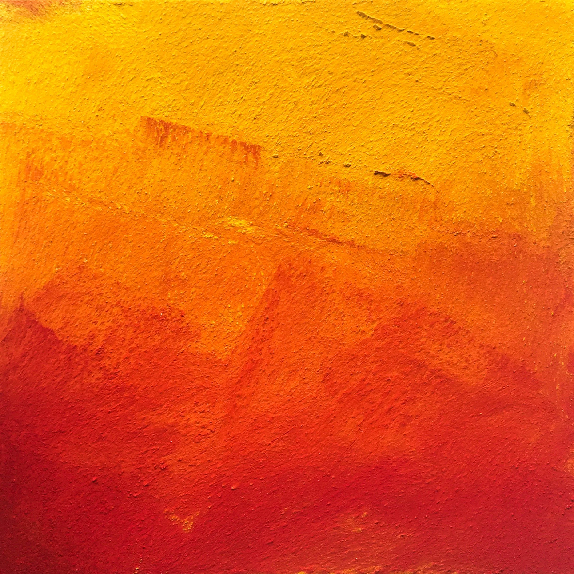 West African Lion.jpg