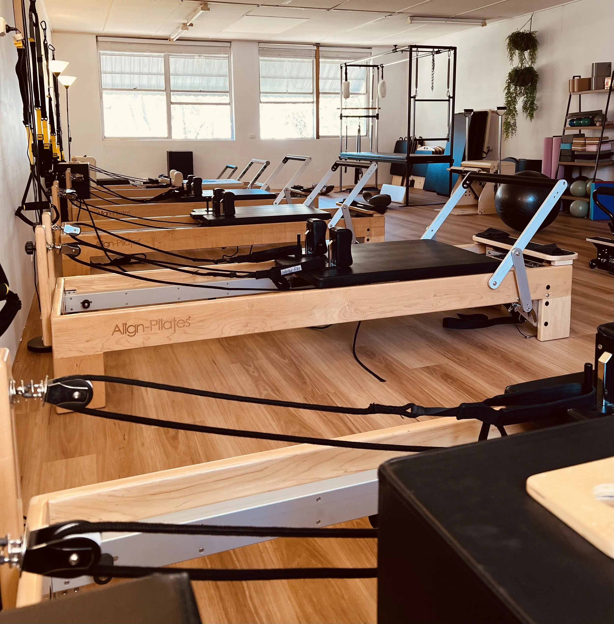 A Pilates studio with multiple Reformers, mats, therapy balls, and fitness equipment, all arranged neatly near large windows.