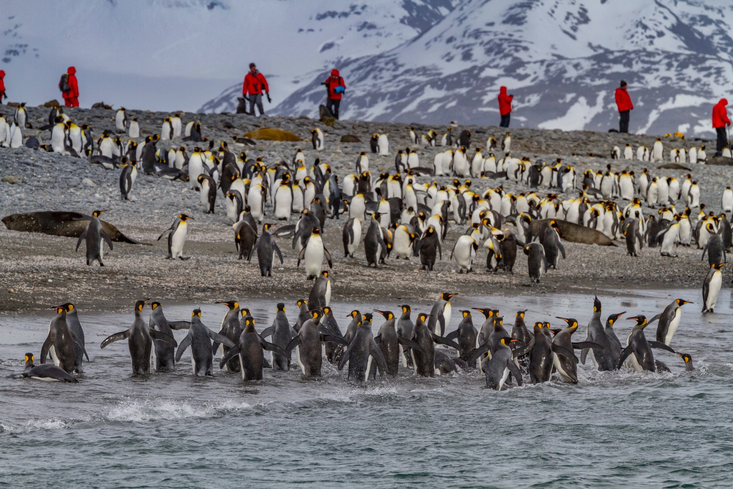 Expedition Travel: Why It’s More Than Just a Trip