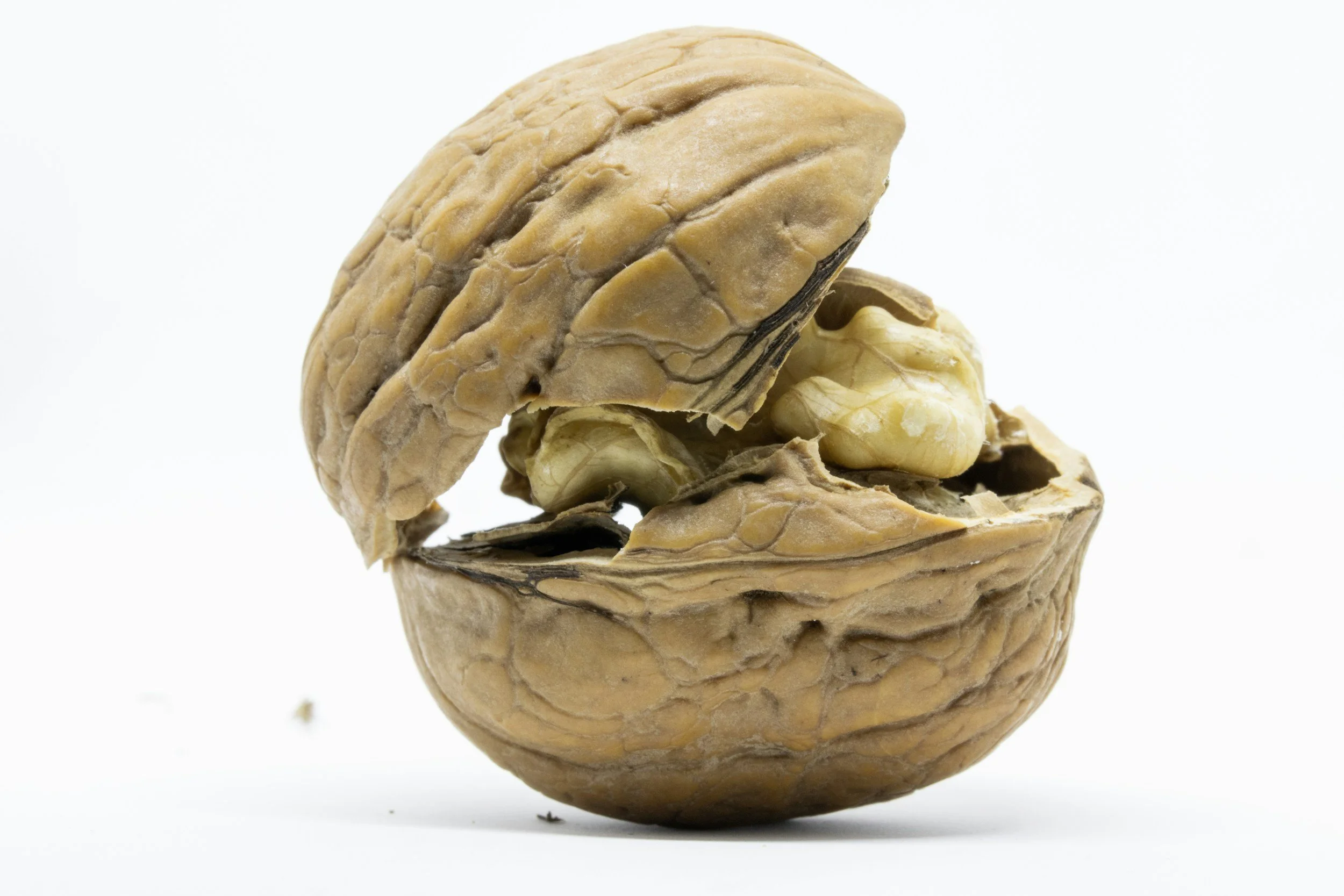 Dry, cracked walnut with partially opened shell revealing the nut inside on a plain white background.