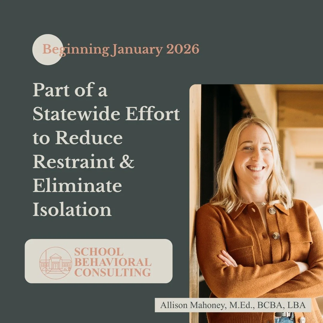 I&rsquo;ll be spending part of 2026 working alongside other consultants and school teams across Washington as part of the Reducing Restraint &amp; Eliminating Isolation (RREI) Project, in partnership with the Washington State Office of Superintendent