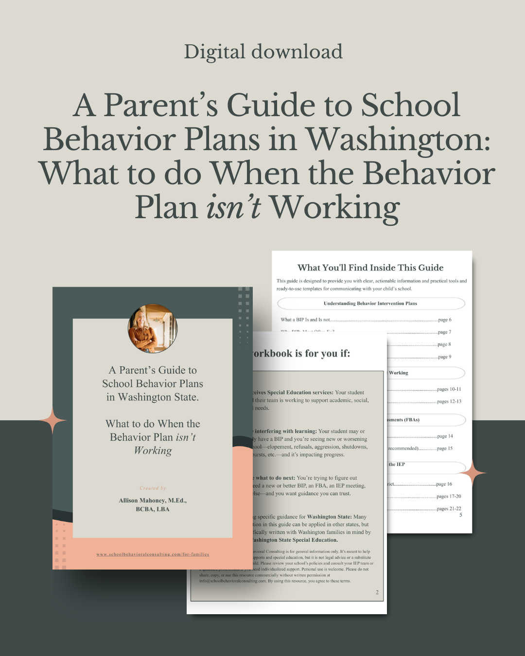 A Parent’s Guide to School Behavior Plans (BIPs) in Washington: What to do When the Behavior Plan isn't Working