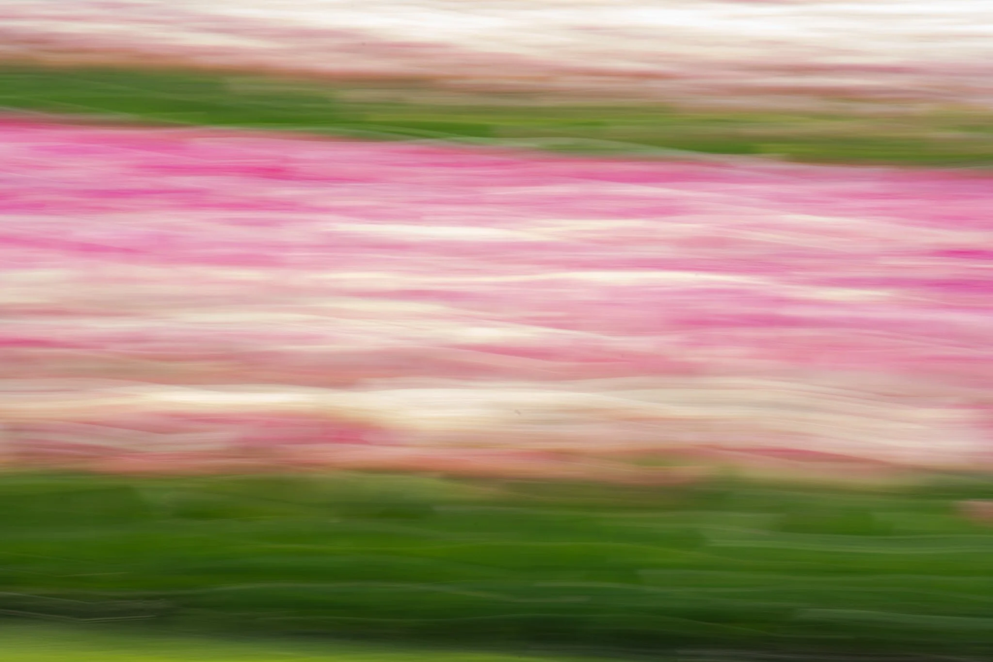      










































  

    
  
     

      

      
         
          
        
        

        
          
             
               View fullsize 
              
           
             
                
      