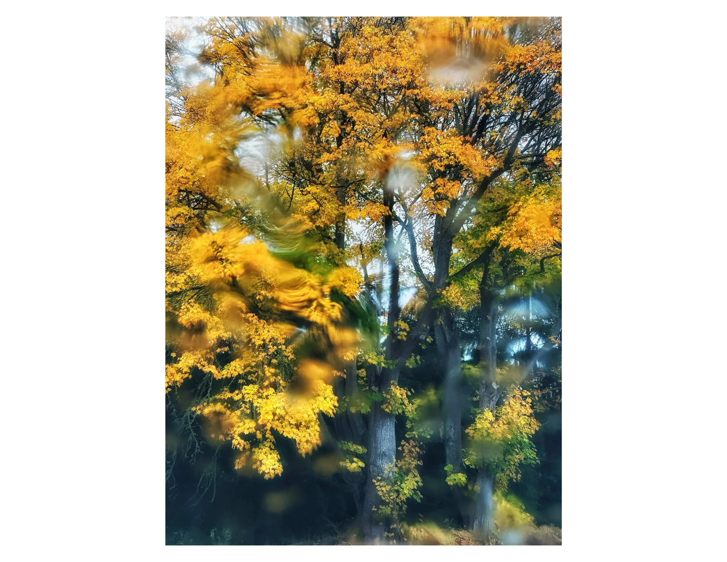 Double Bluff in Fall.jpg