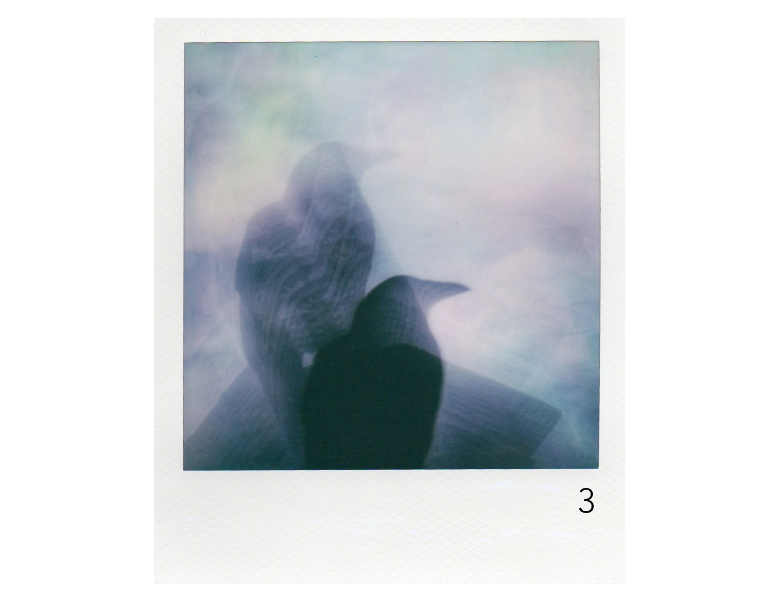 A Crow Show