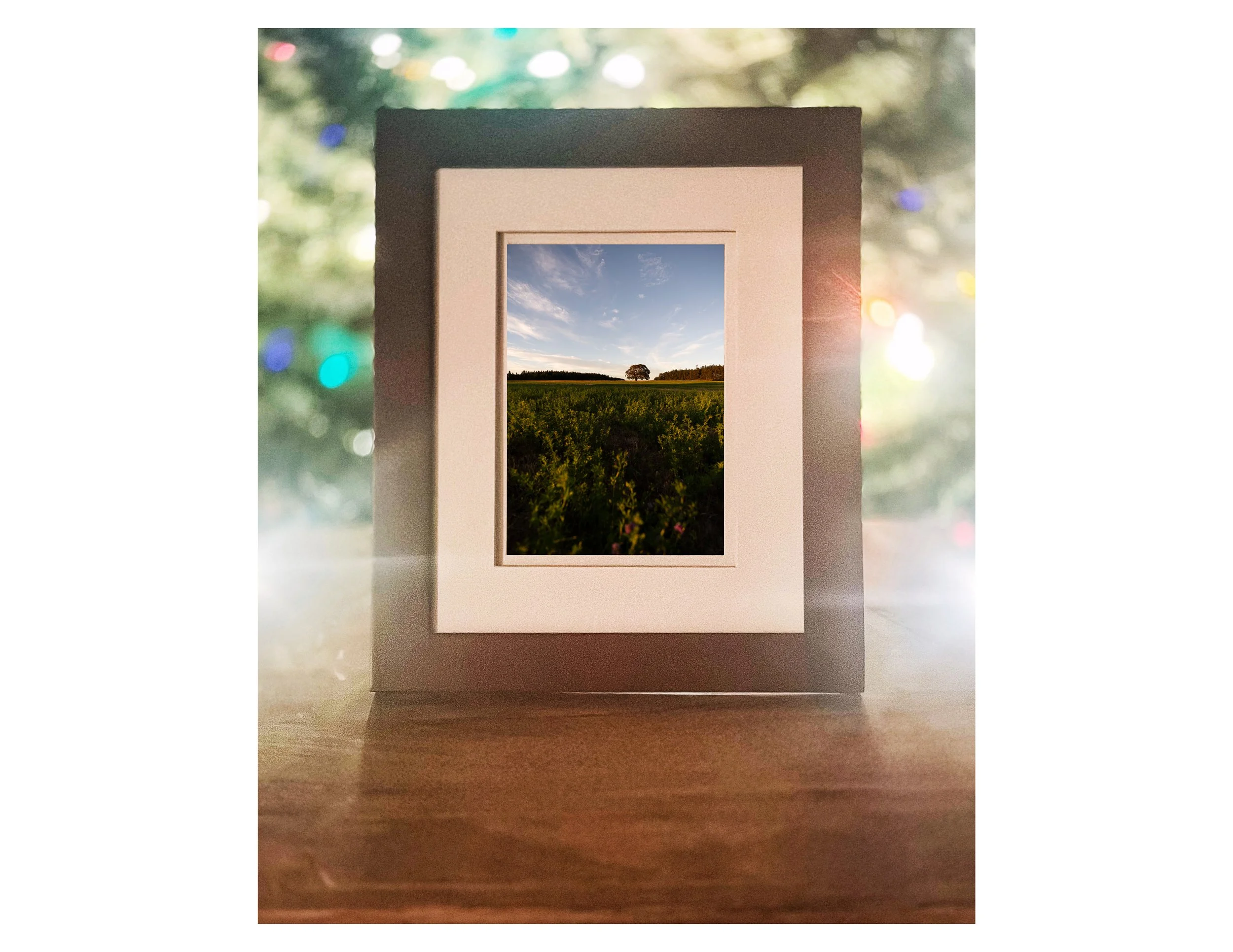 IMG_8149_Framed Print.jpg