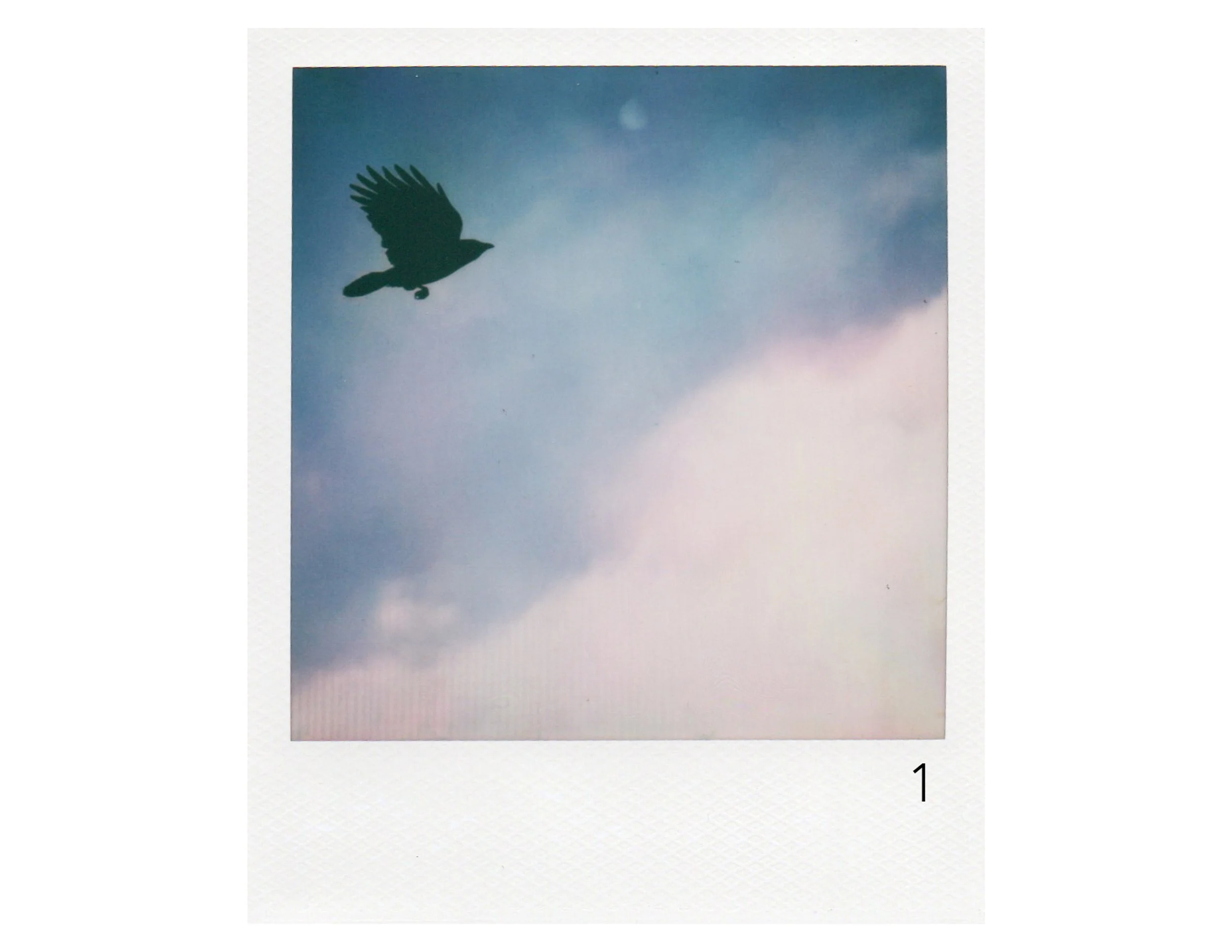 A Crow Show