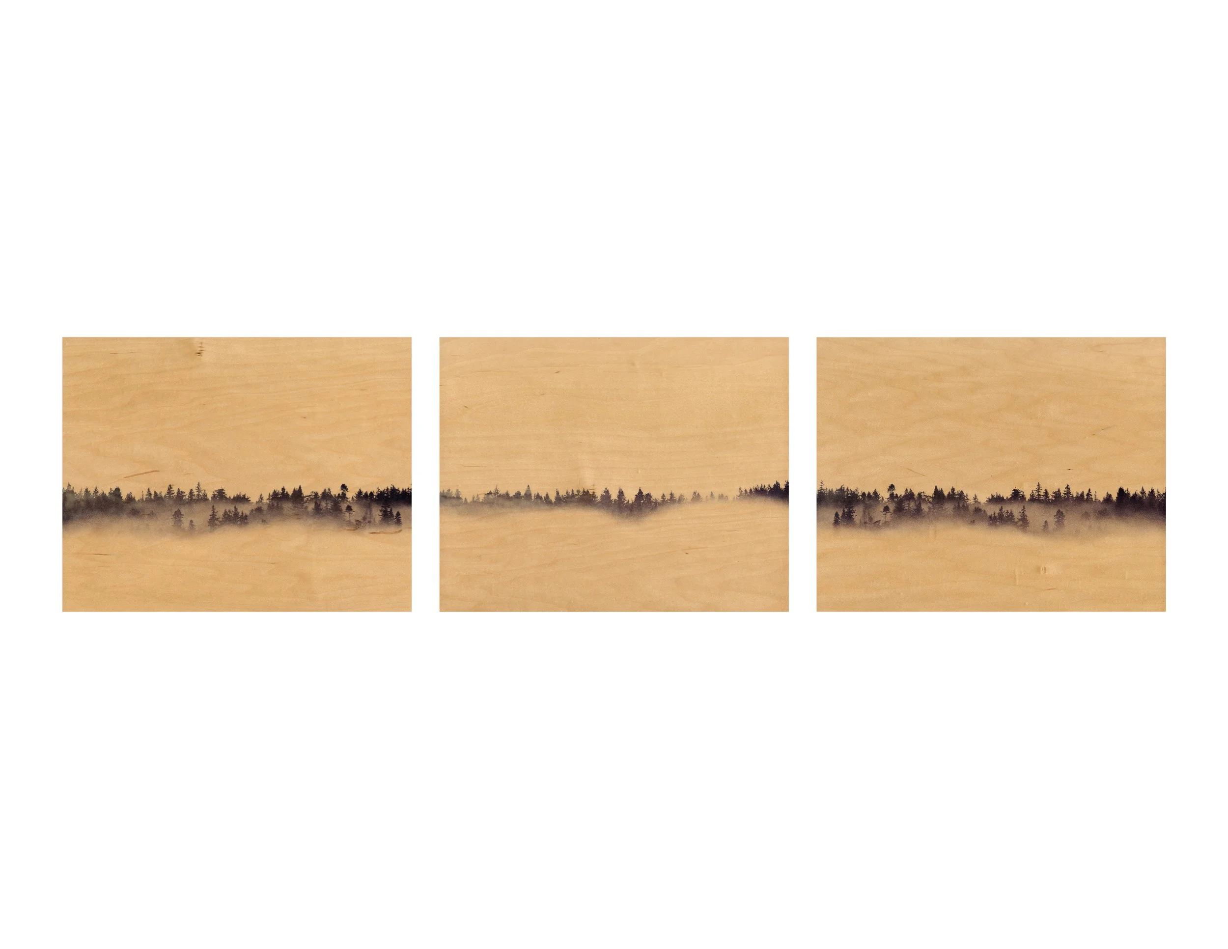 Surface: Photographs on Panel