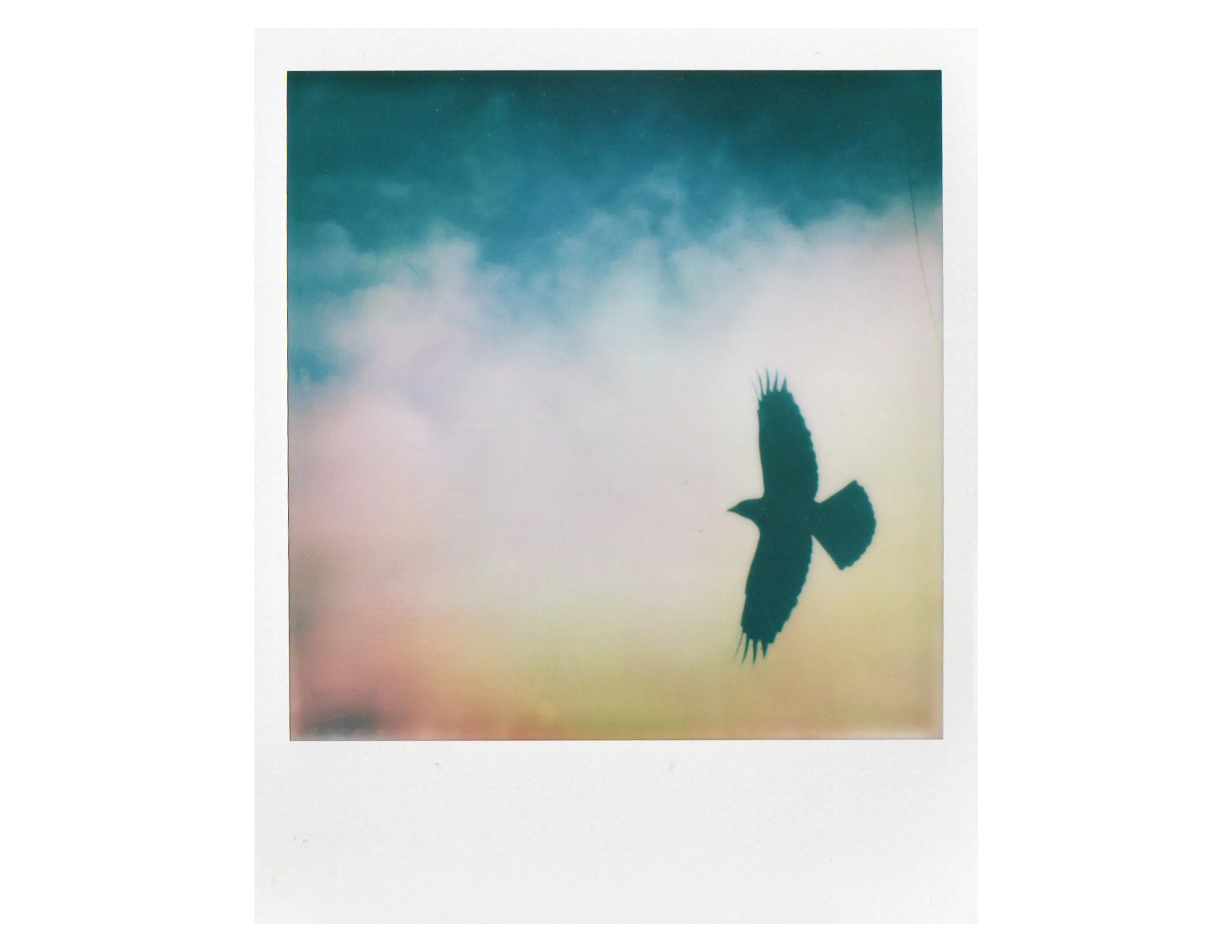 A Crow Show-5.jpg