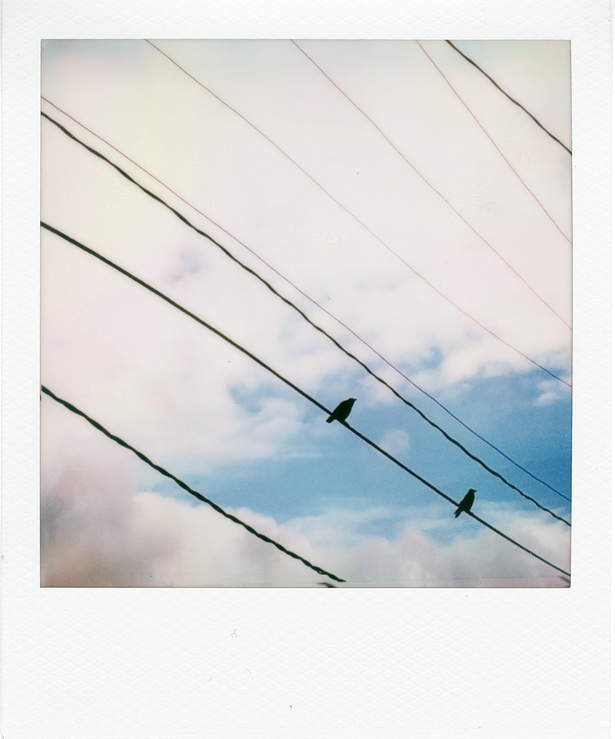 Untitled (6).JPG
