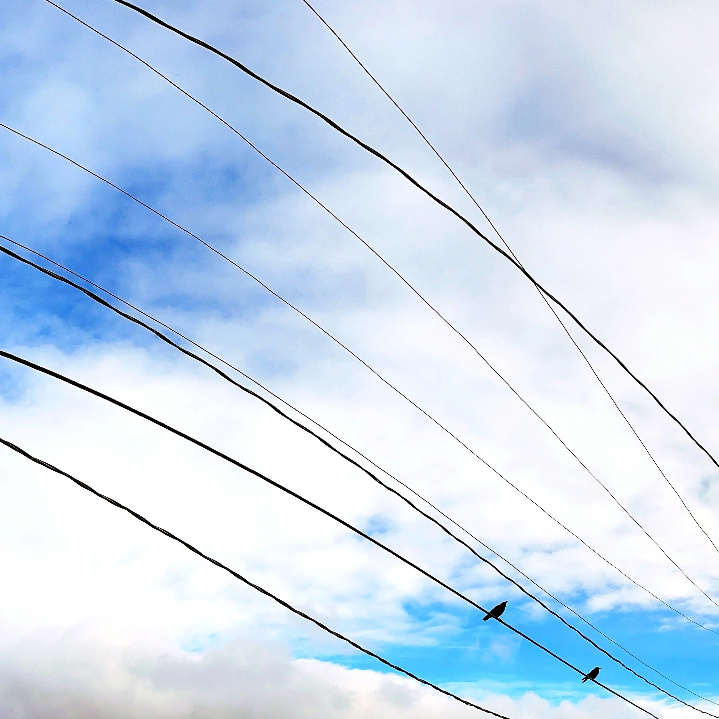 Snapseed Pano-2_SnapseedCopy.jpeg