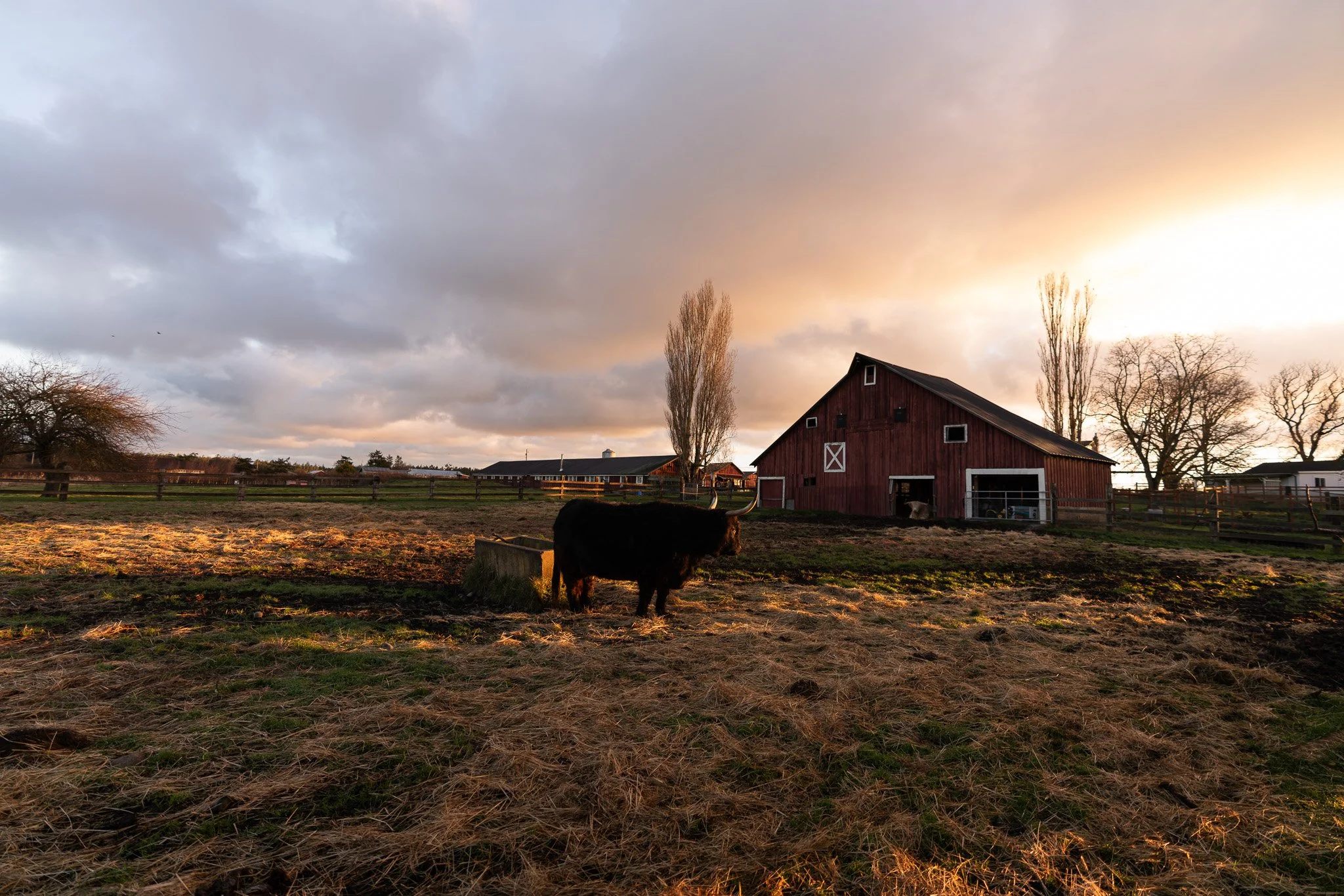 Eckholm Farm