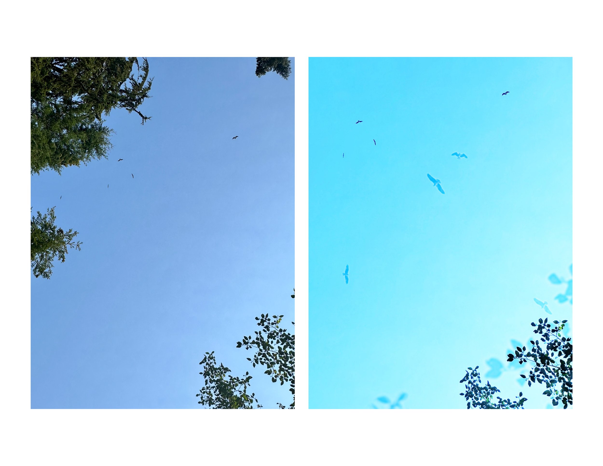 Above My Head 3.jpg