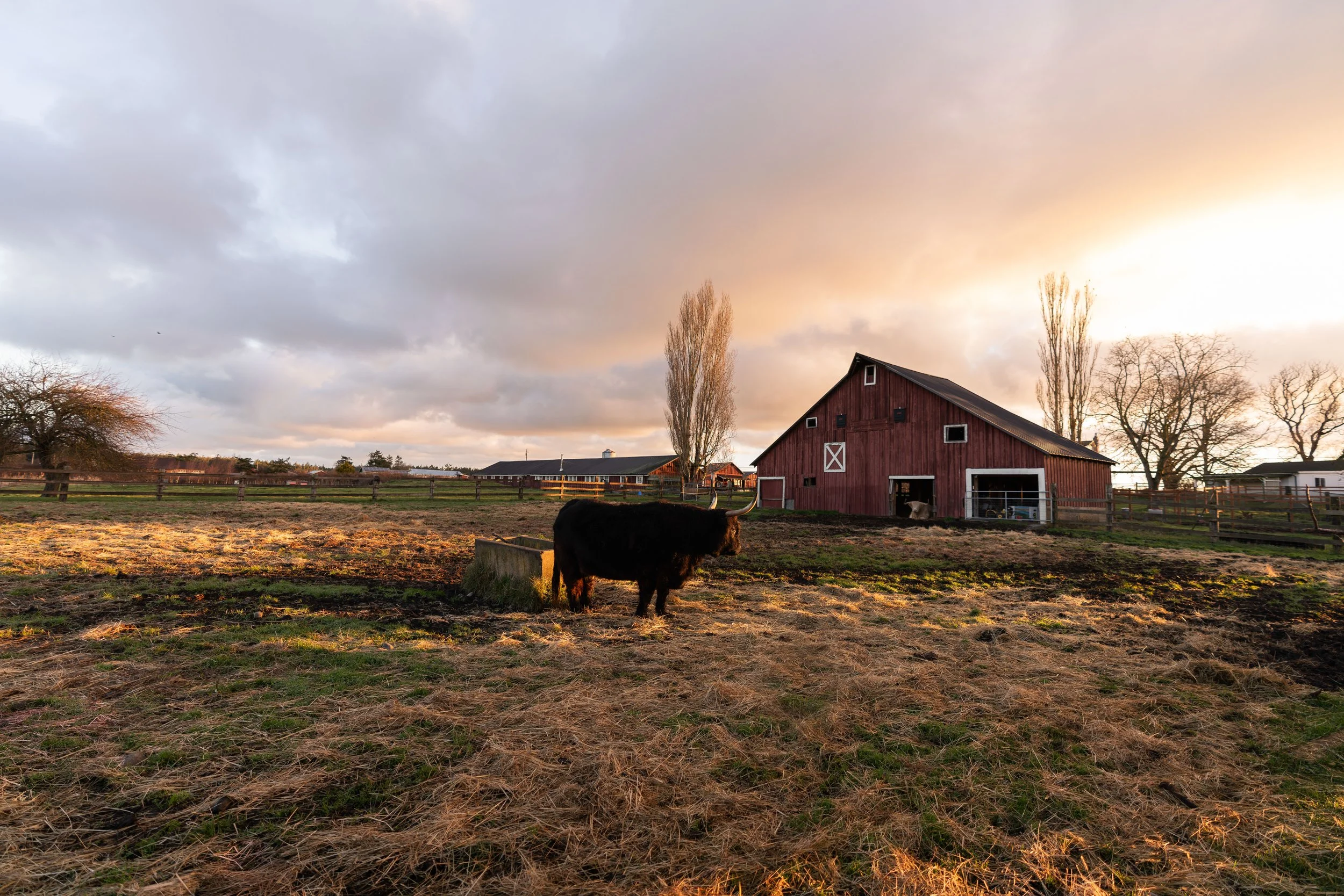 _DSC1680-2 - web.jpg