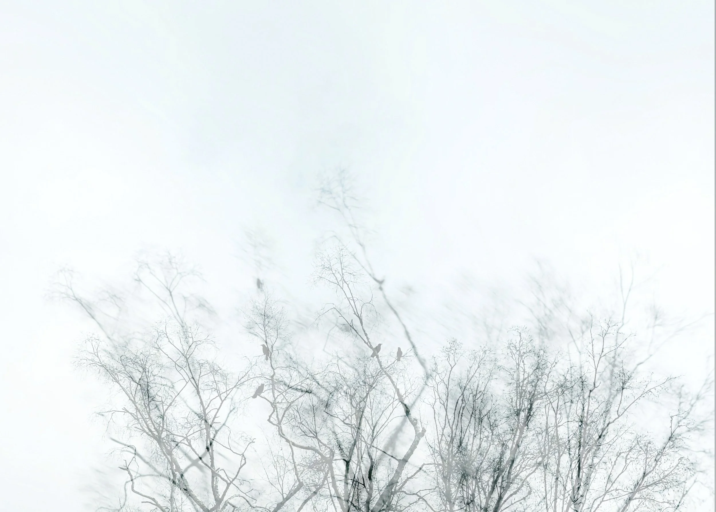FullSizeRender (1) - web.jpg