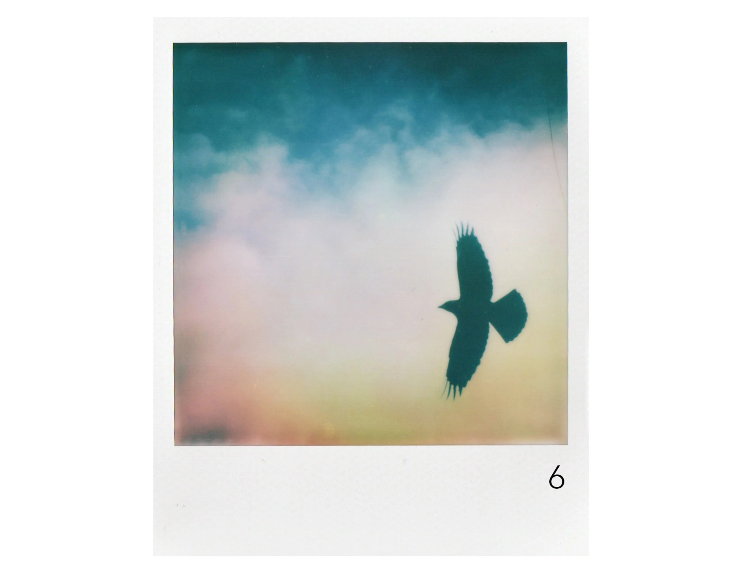 A Crow Show