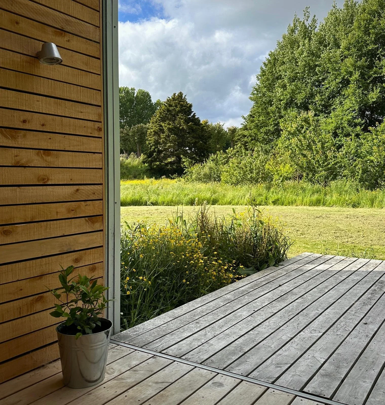 View from a wooden porch overlooking a lush green landscape with tall trees and a cloudy sky.