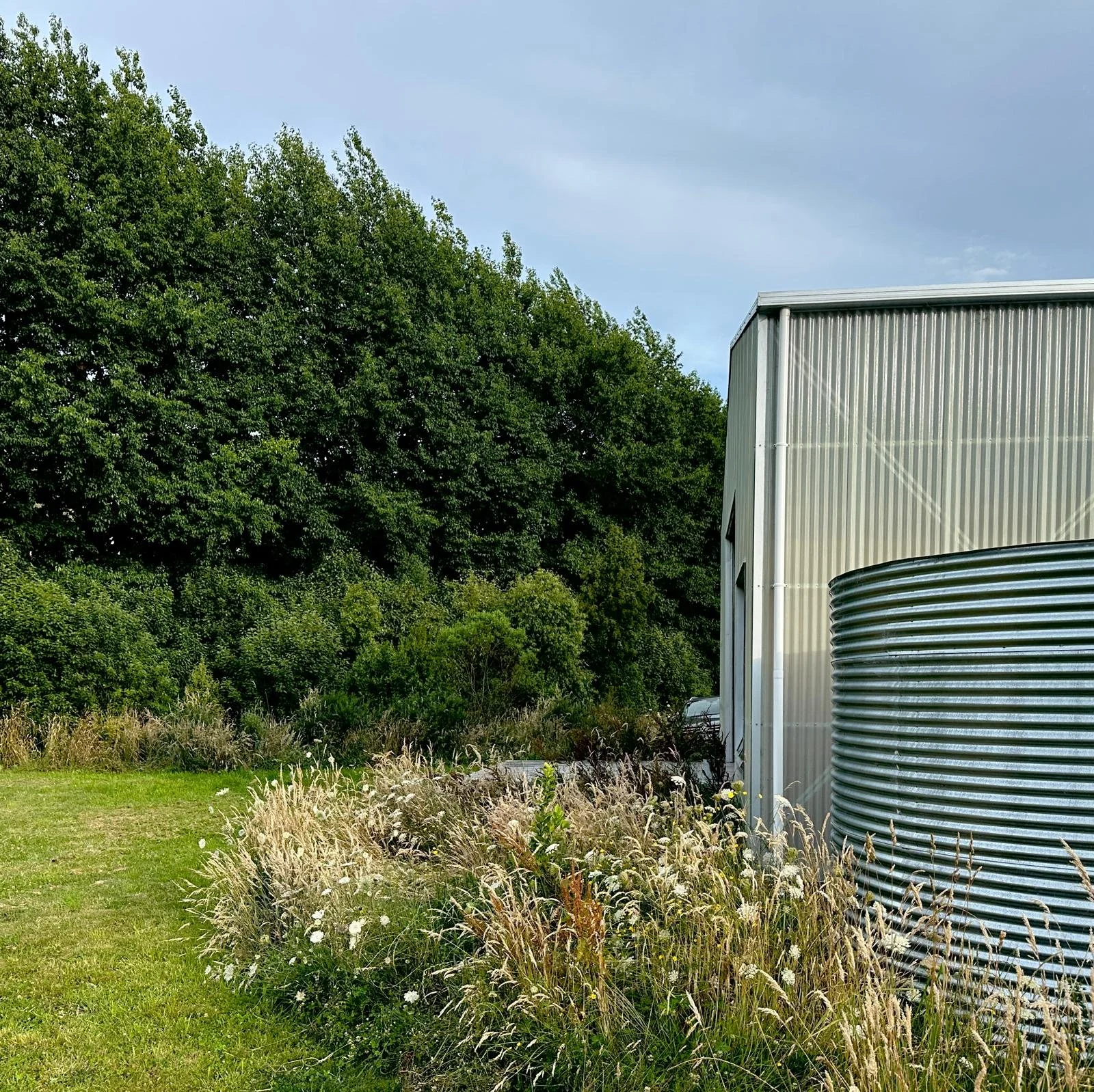 Green trees against a blue sky, and part of a silver metallic building with a round, ribbed tank.