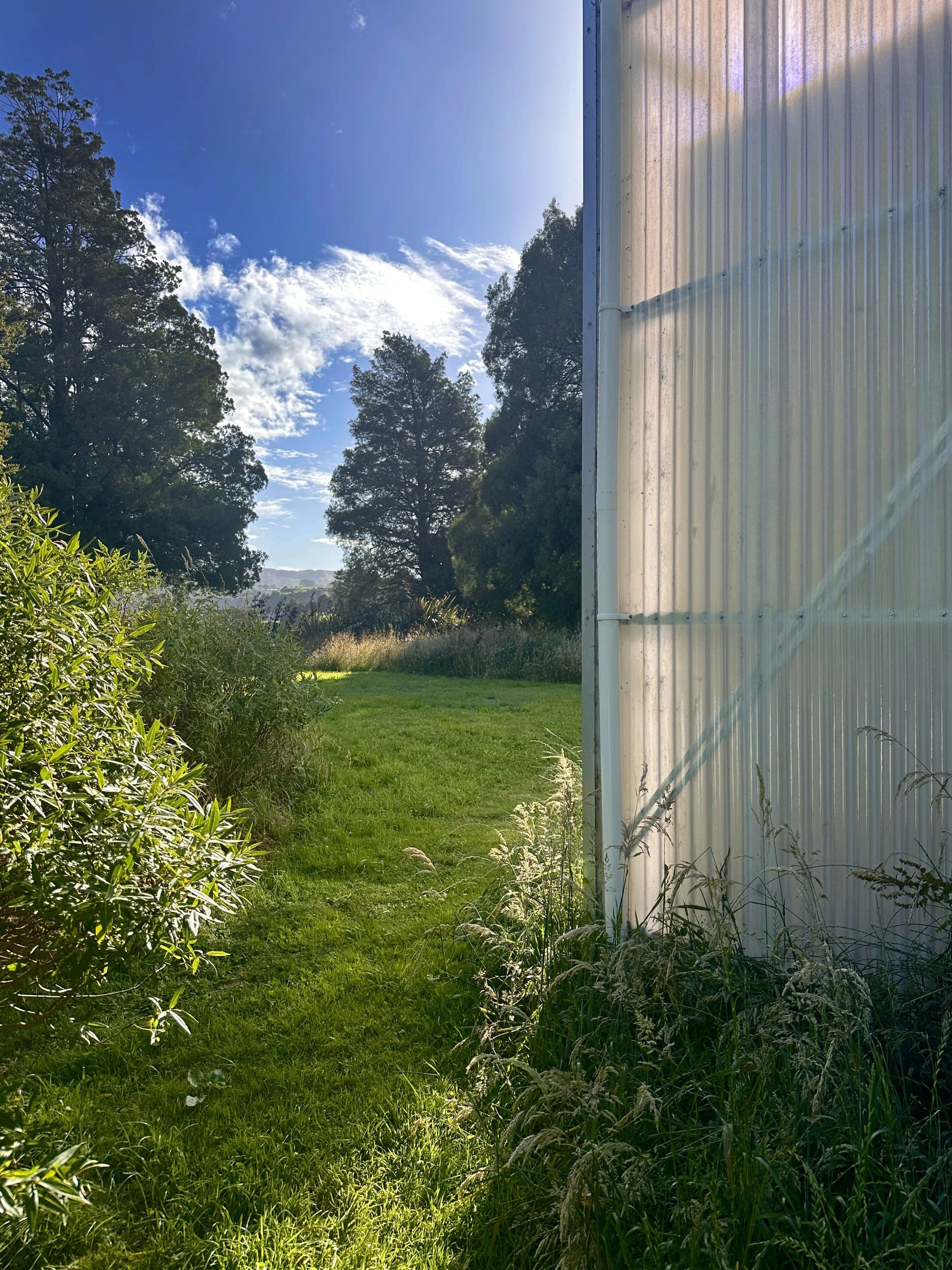 A wild rural garden using native plants and long grass beside transluscent conmtemporary architecture.