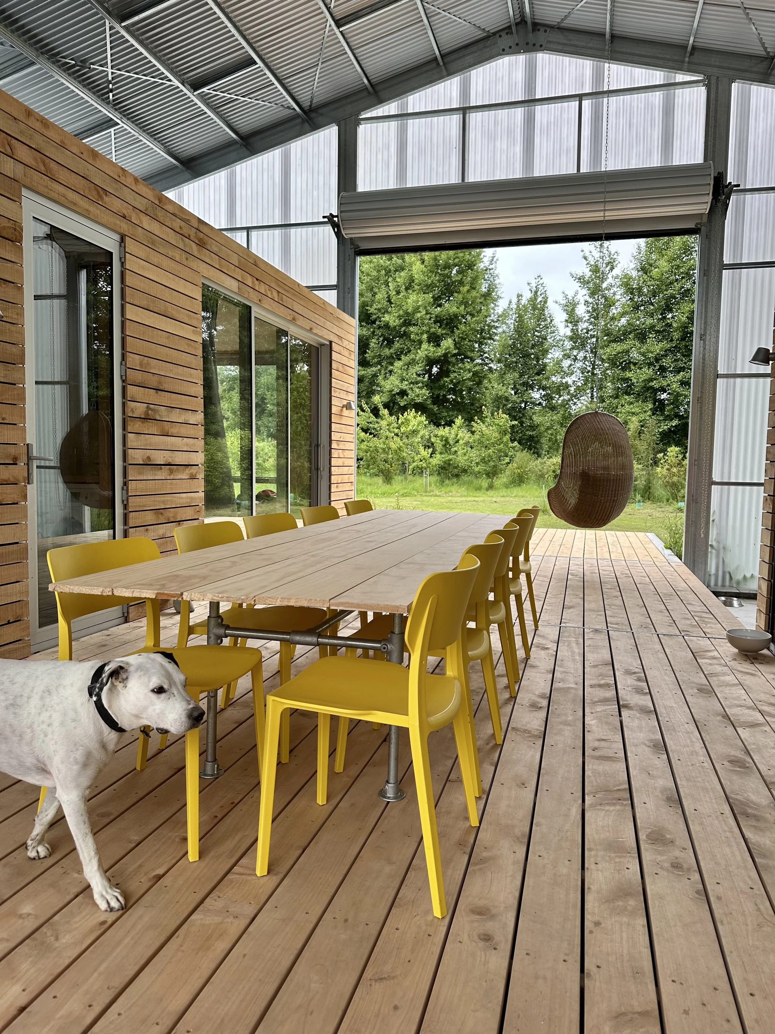 Indoor patio with wooden floor, yellow chairs around a large wooden table, a hanging egg-shaped chair, and a black and white dog walking in the foreground. The patio has a metal roof and large windows showing green trees outside.