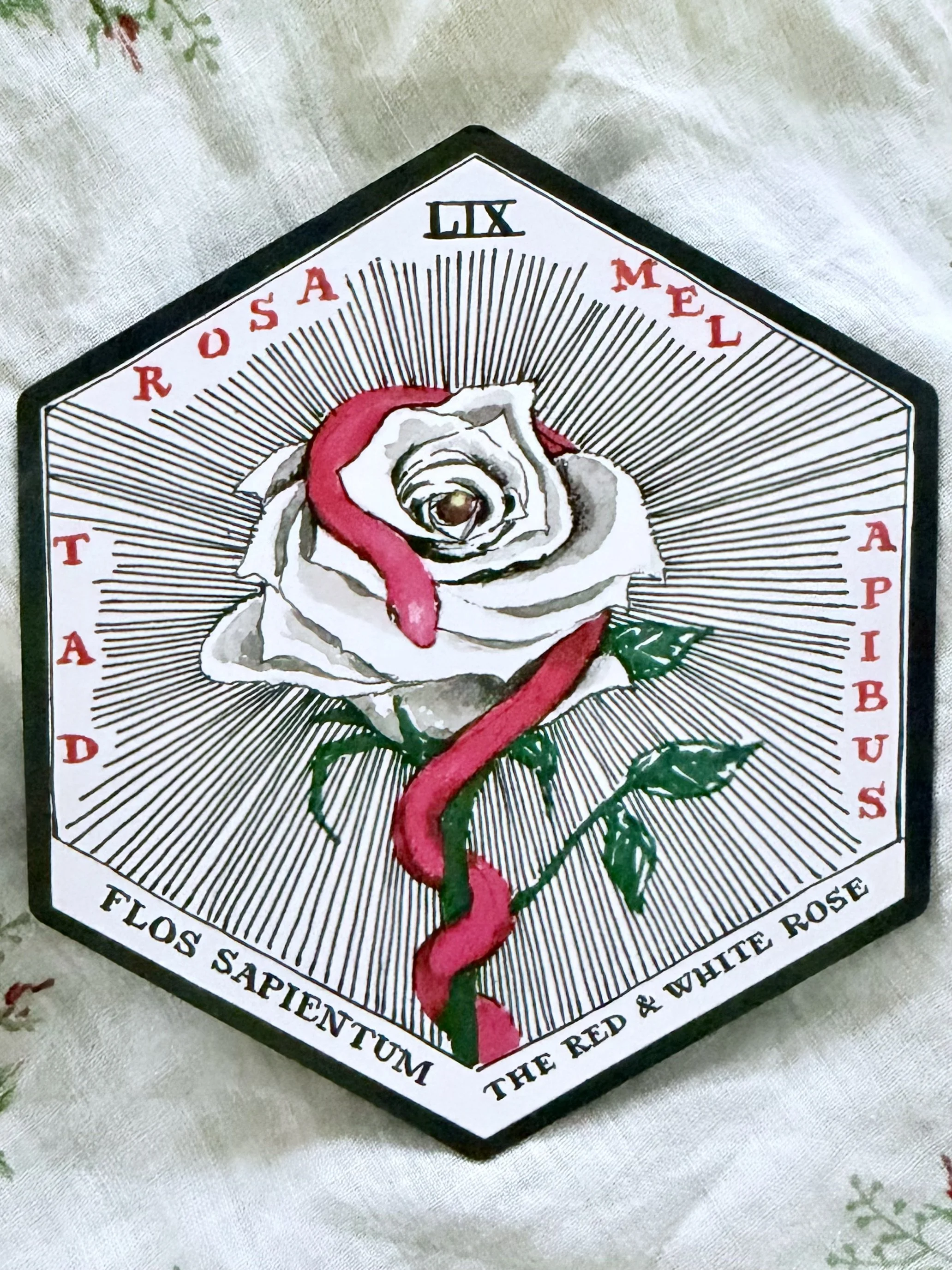 Quick Insight: 15 min. reading (voice memo)