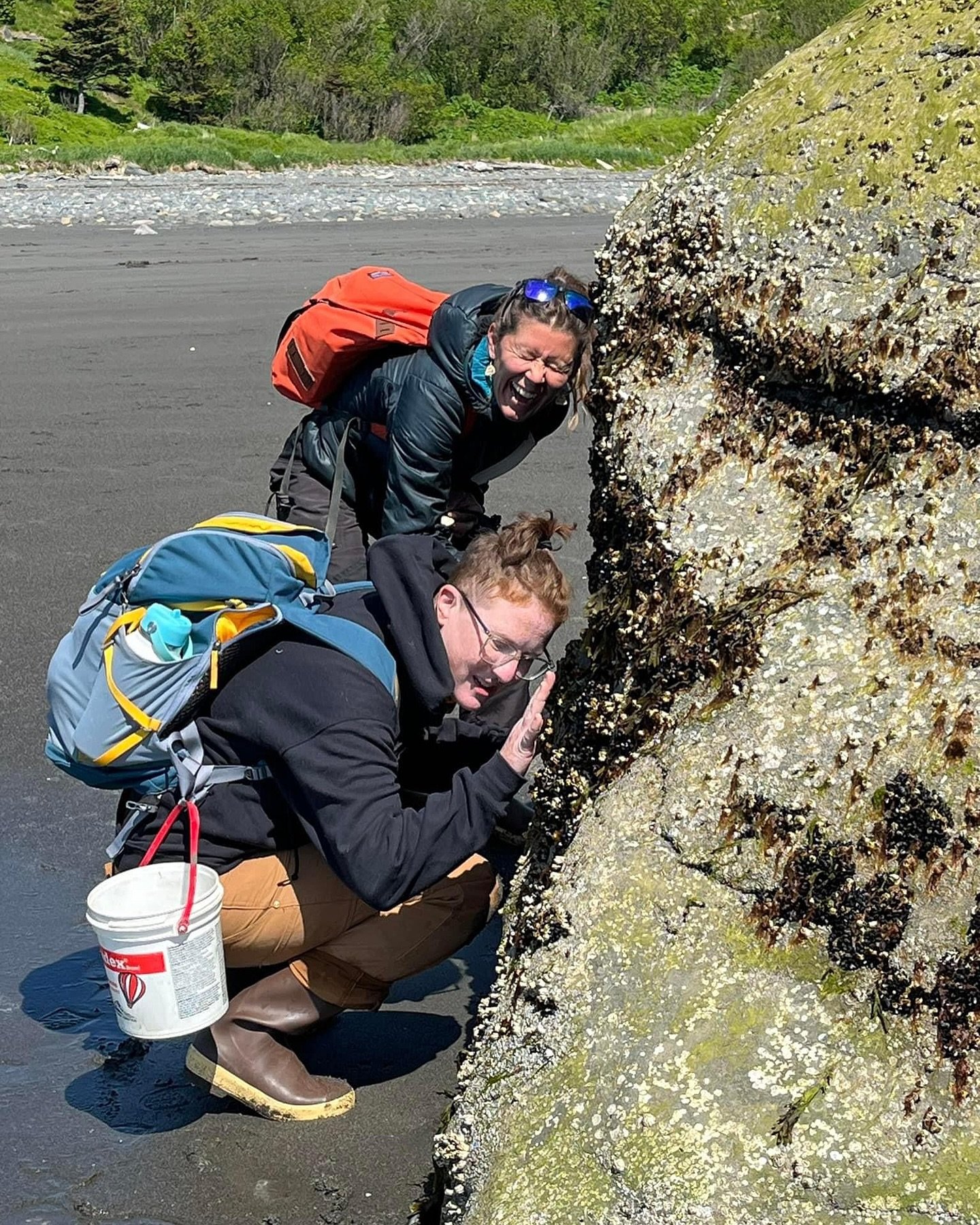 laughing at the barnacle.jpg