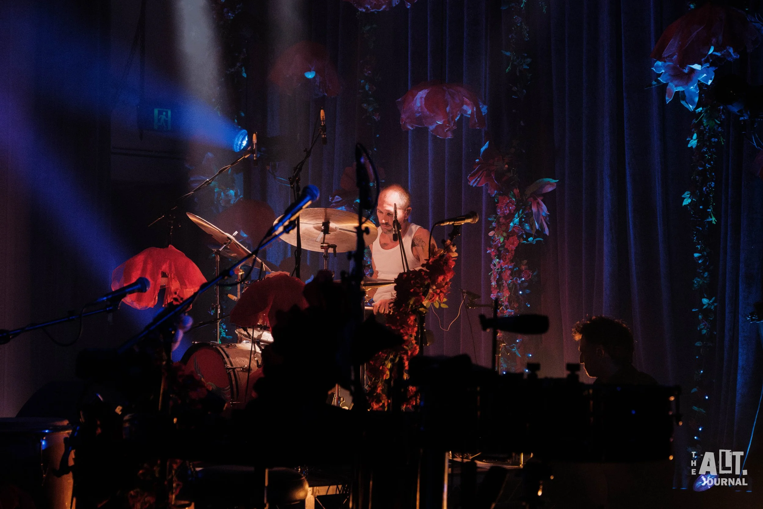 The Cat Empire-2.jpg