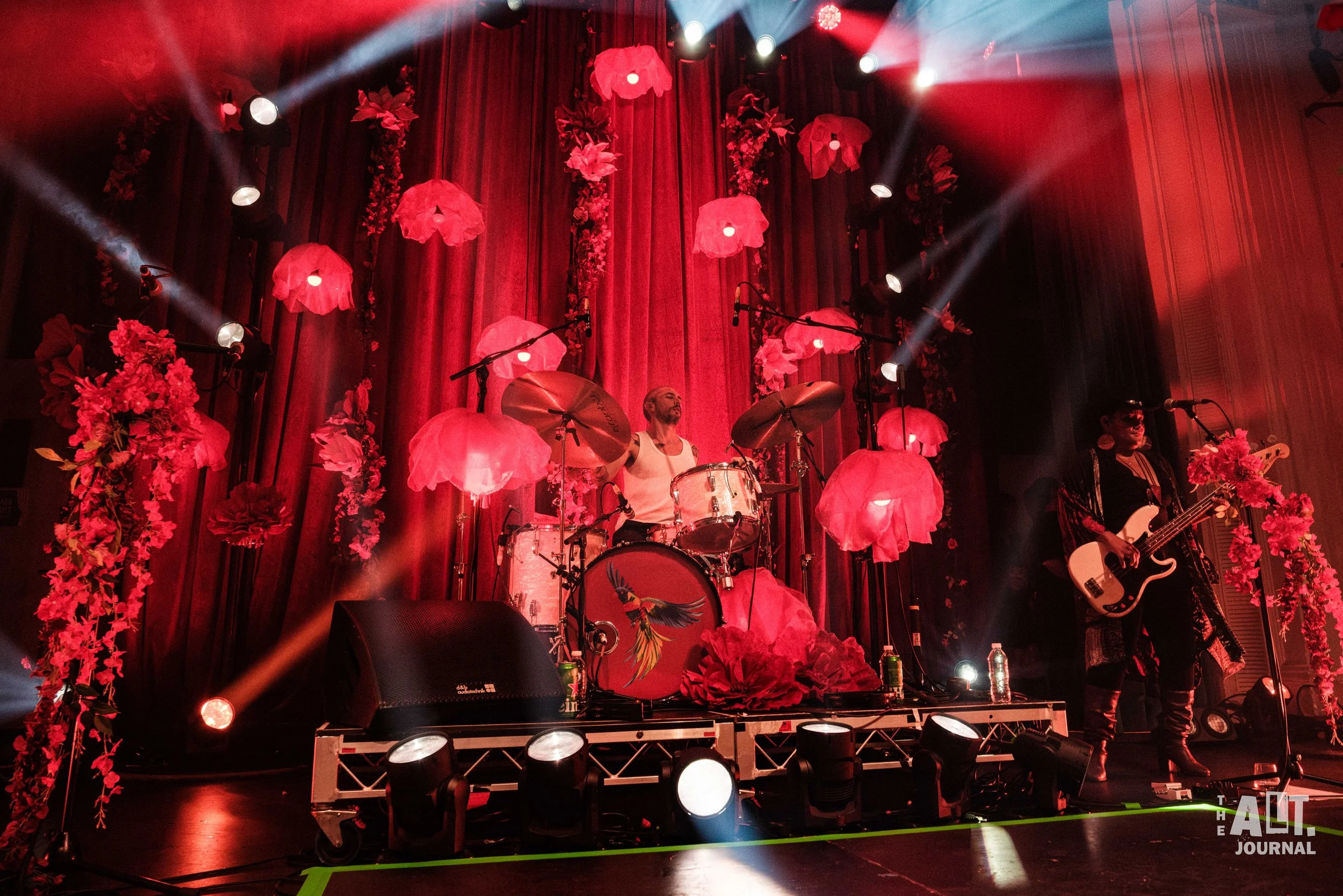 The Cat Empire-5.jpg