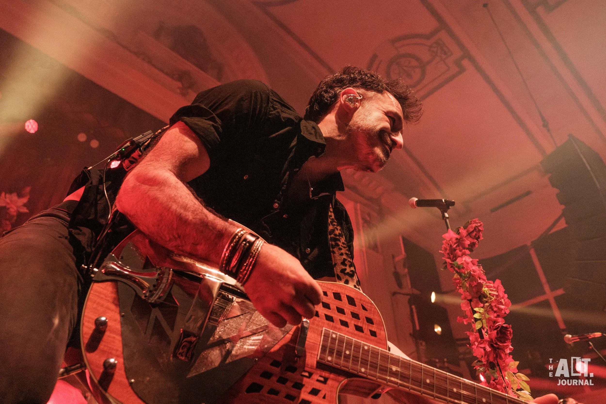 The Cat Empire-14.jpg