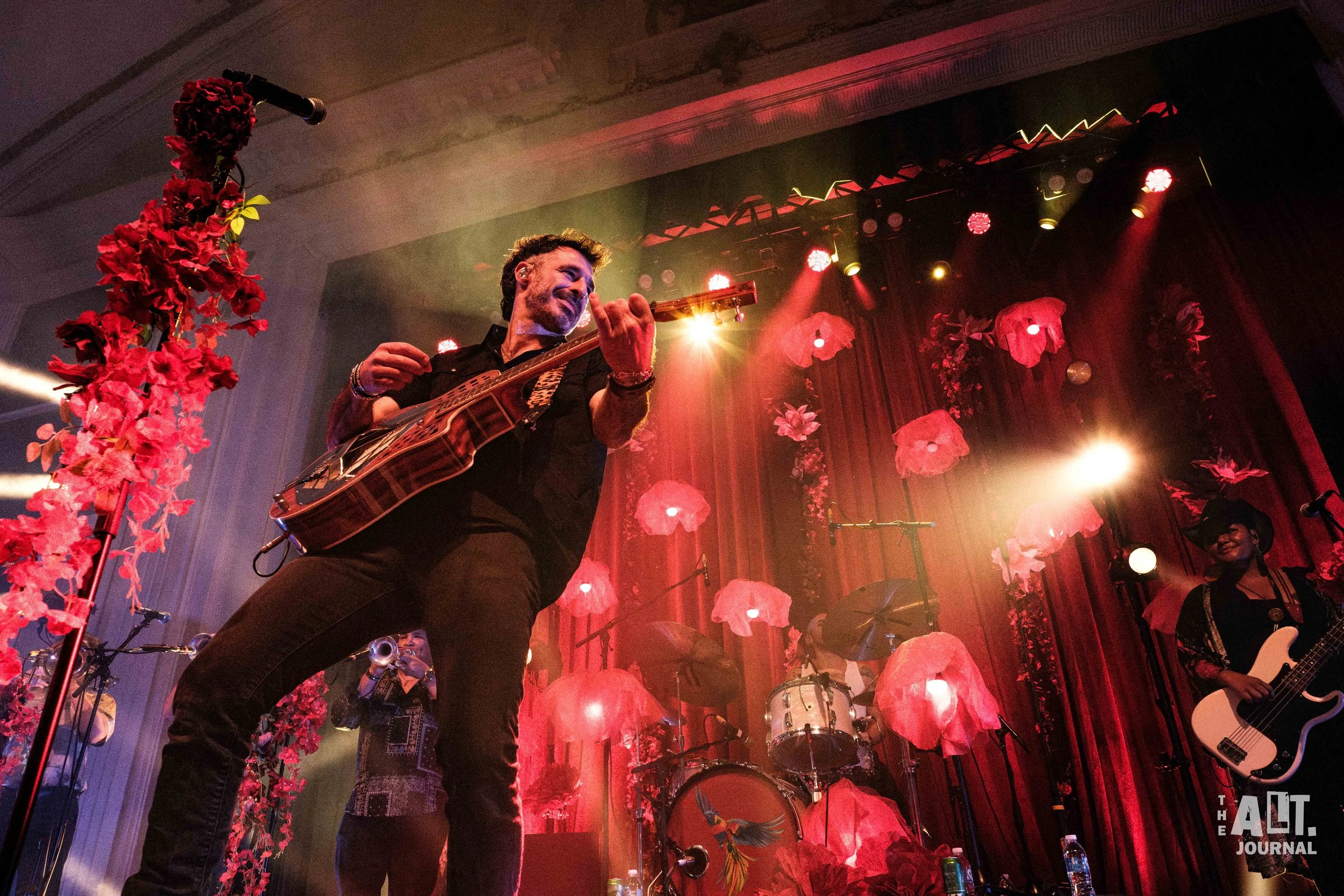 The Cat Empire-15.jpg