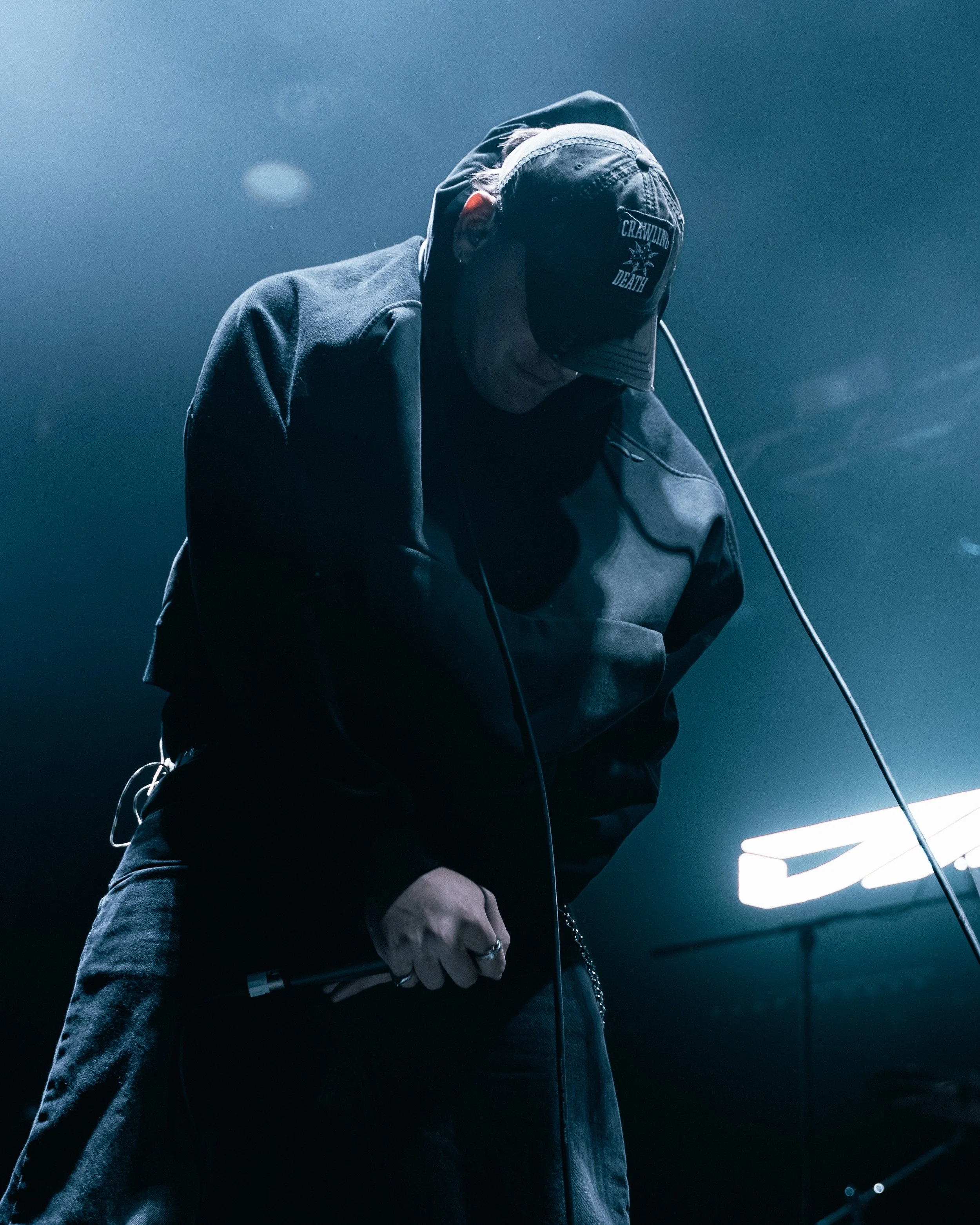 6. Diesect-5.jpg