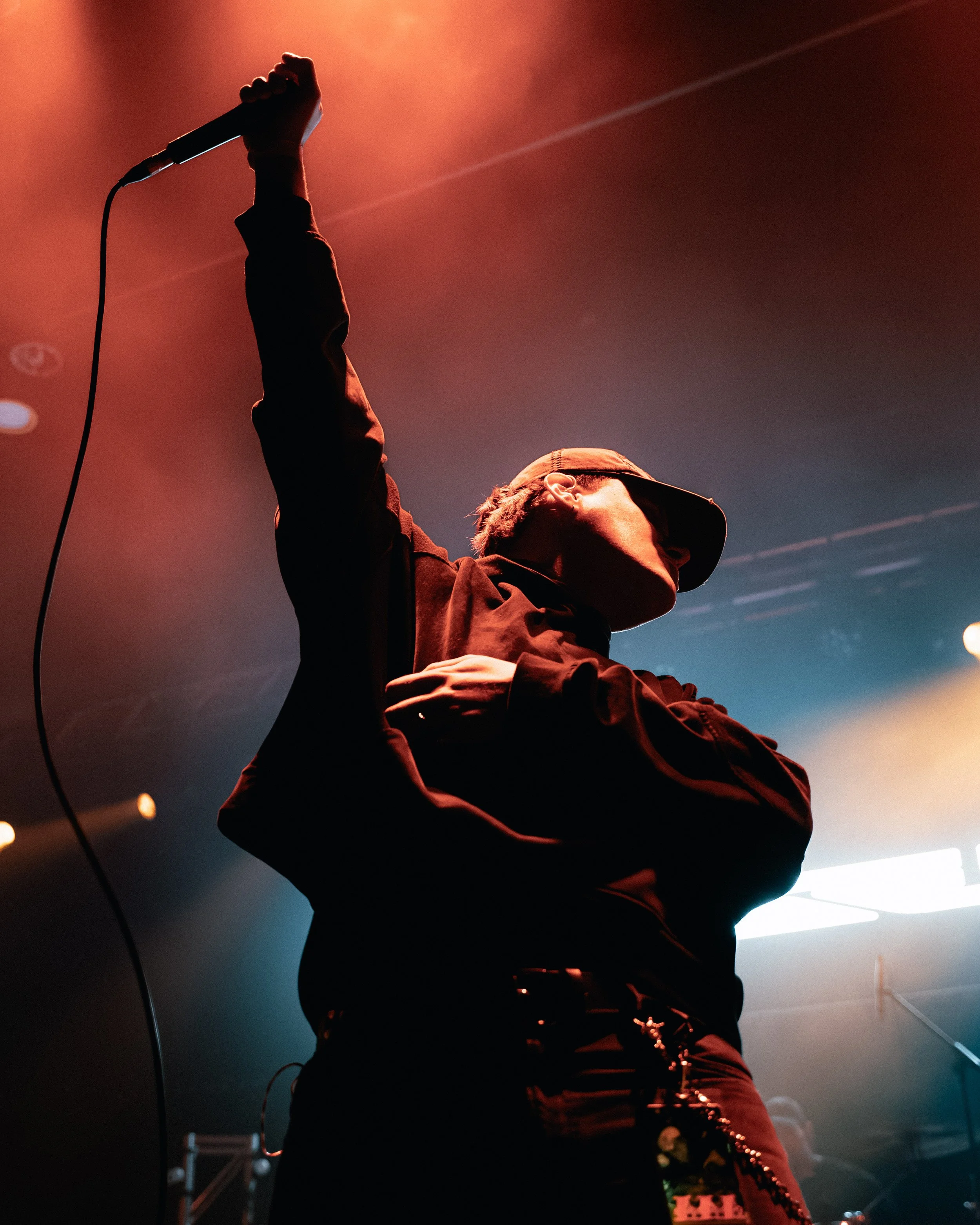 6. Diesect-9.jpg