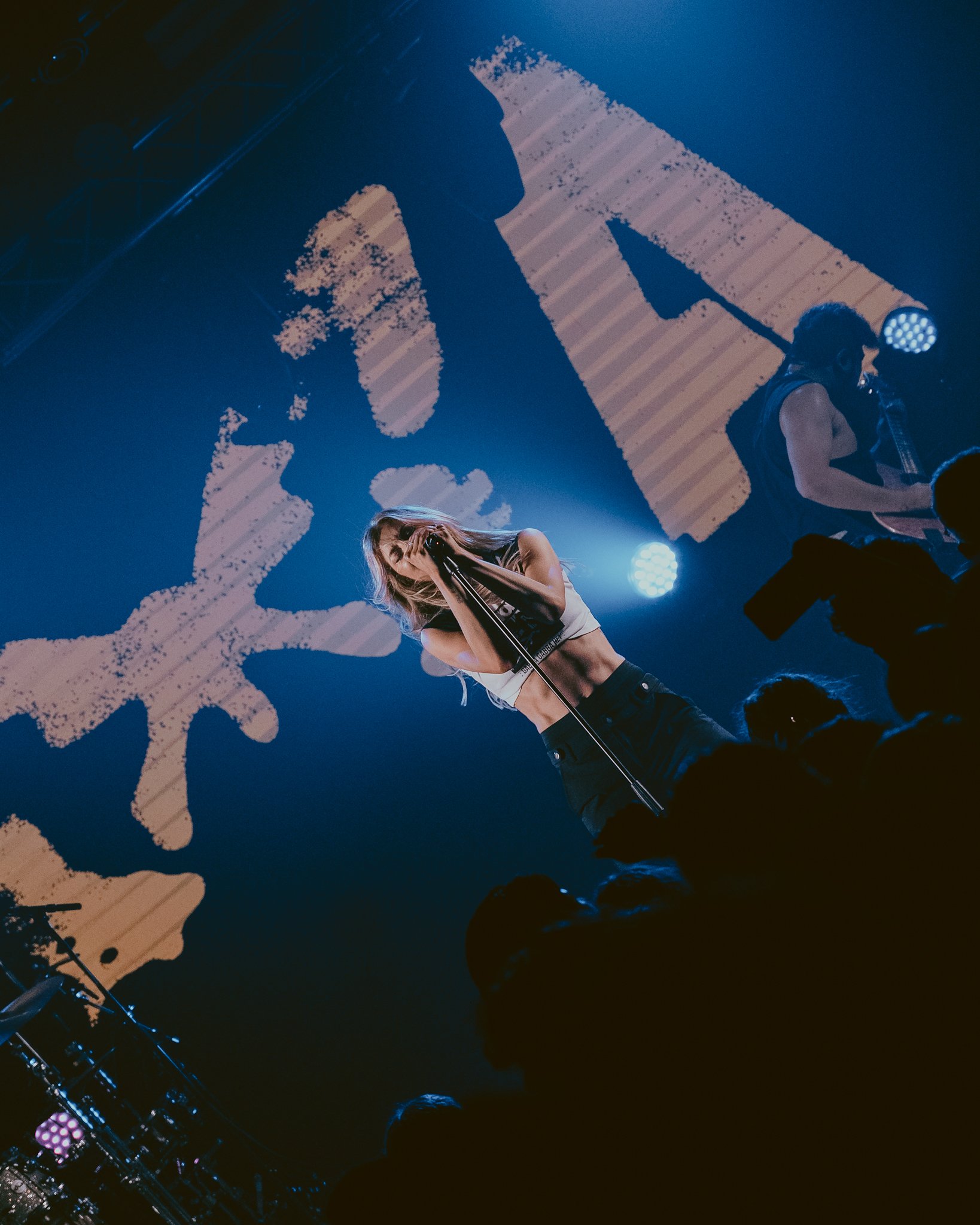 1. Taylor Acorn-02.jpg