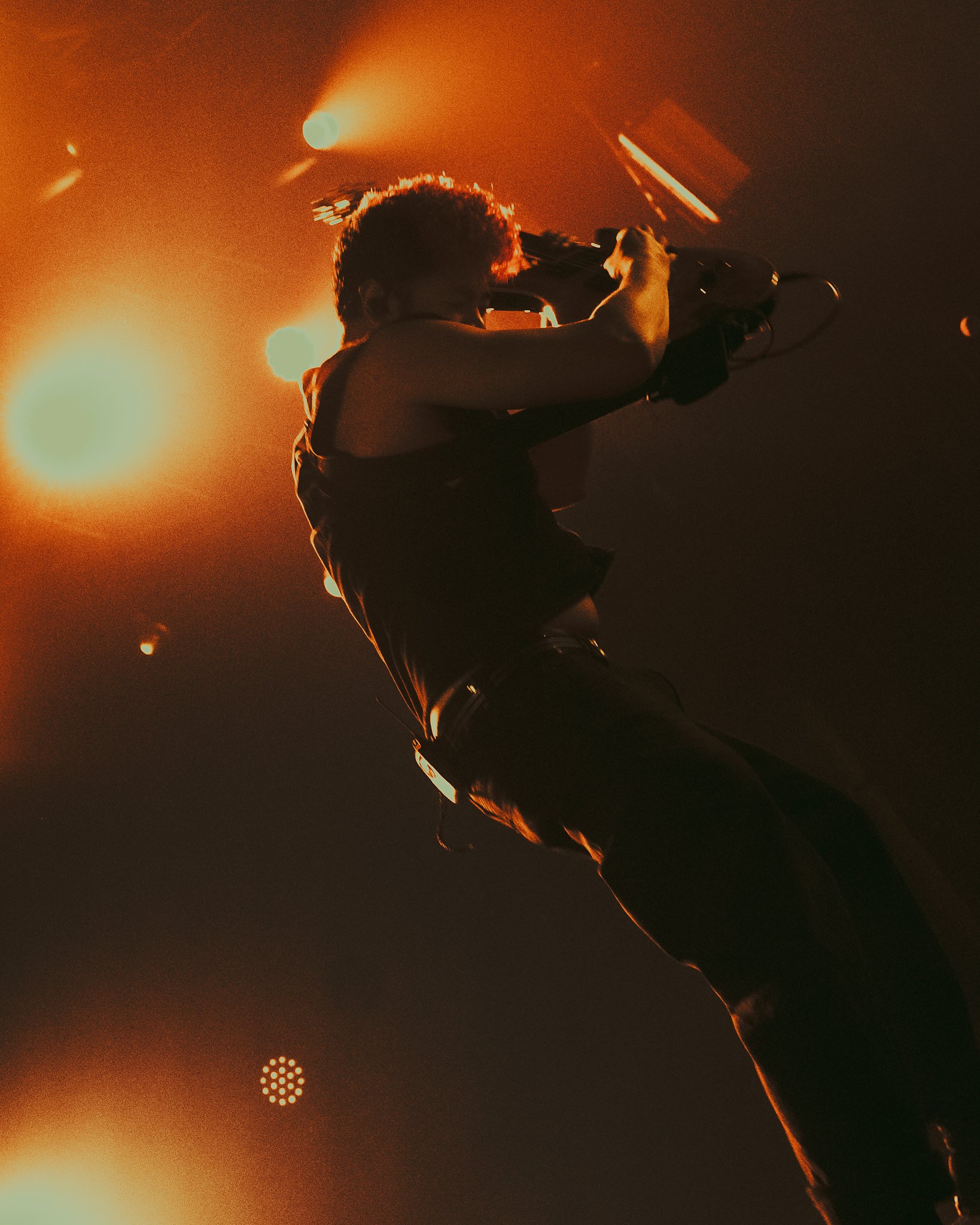 1. Taylor Acorn-15.jpg