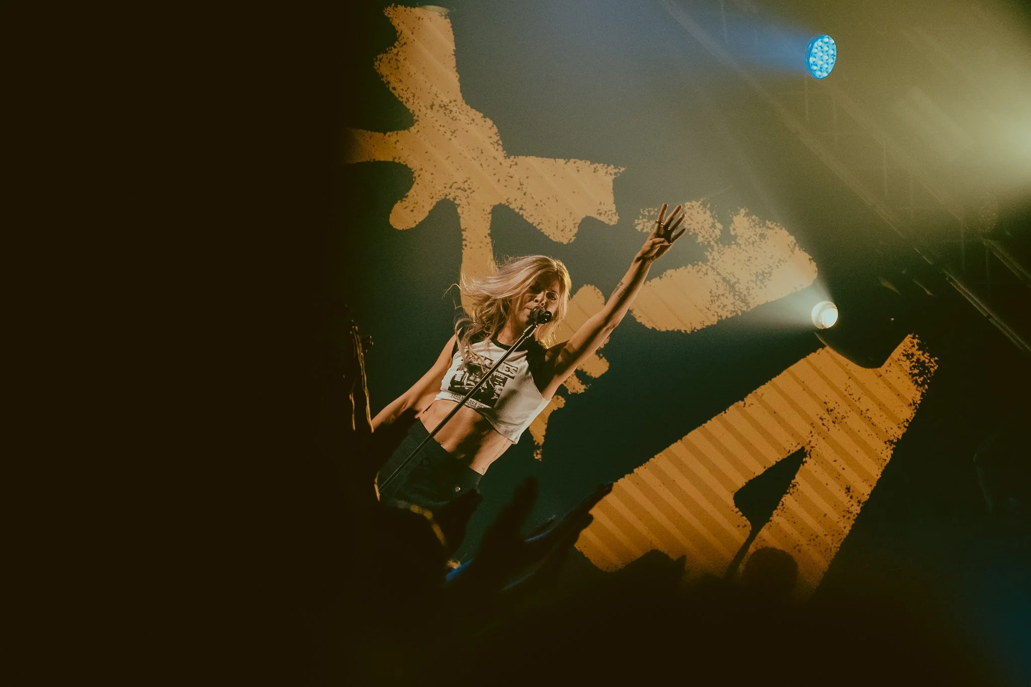 1. Taylor Acorn-29.jpg