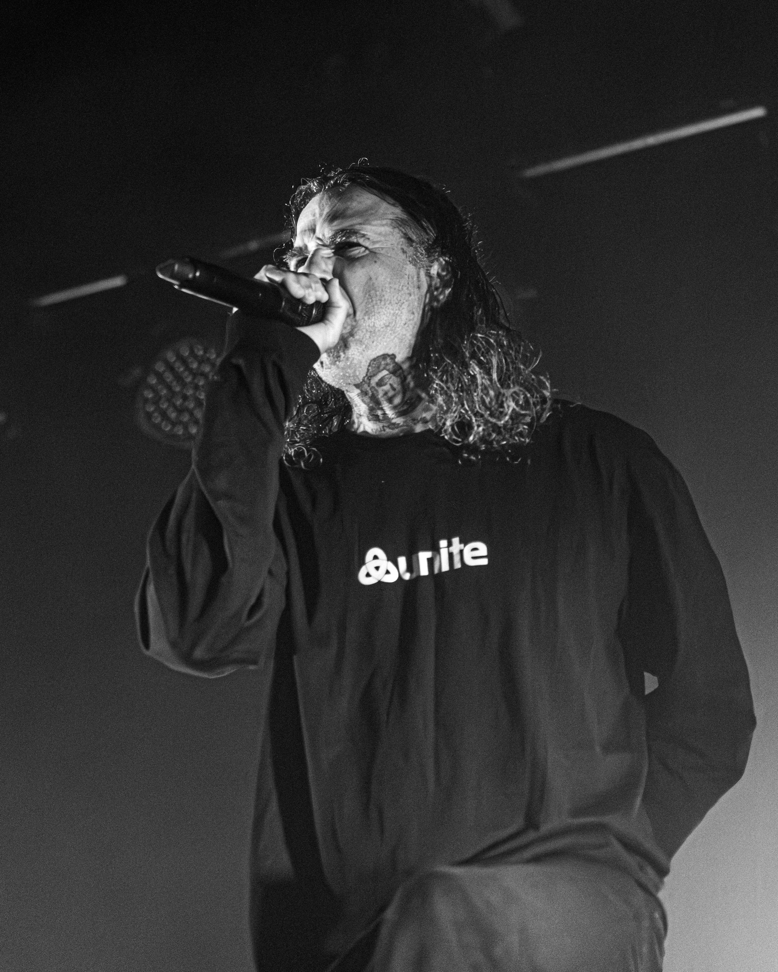 1. The Amity Affliction-3.jpg