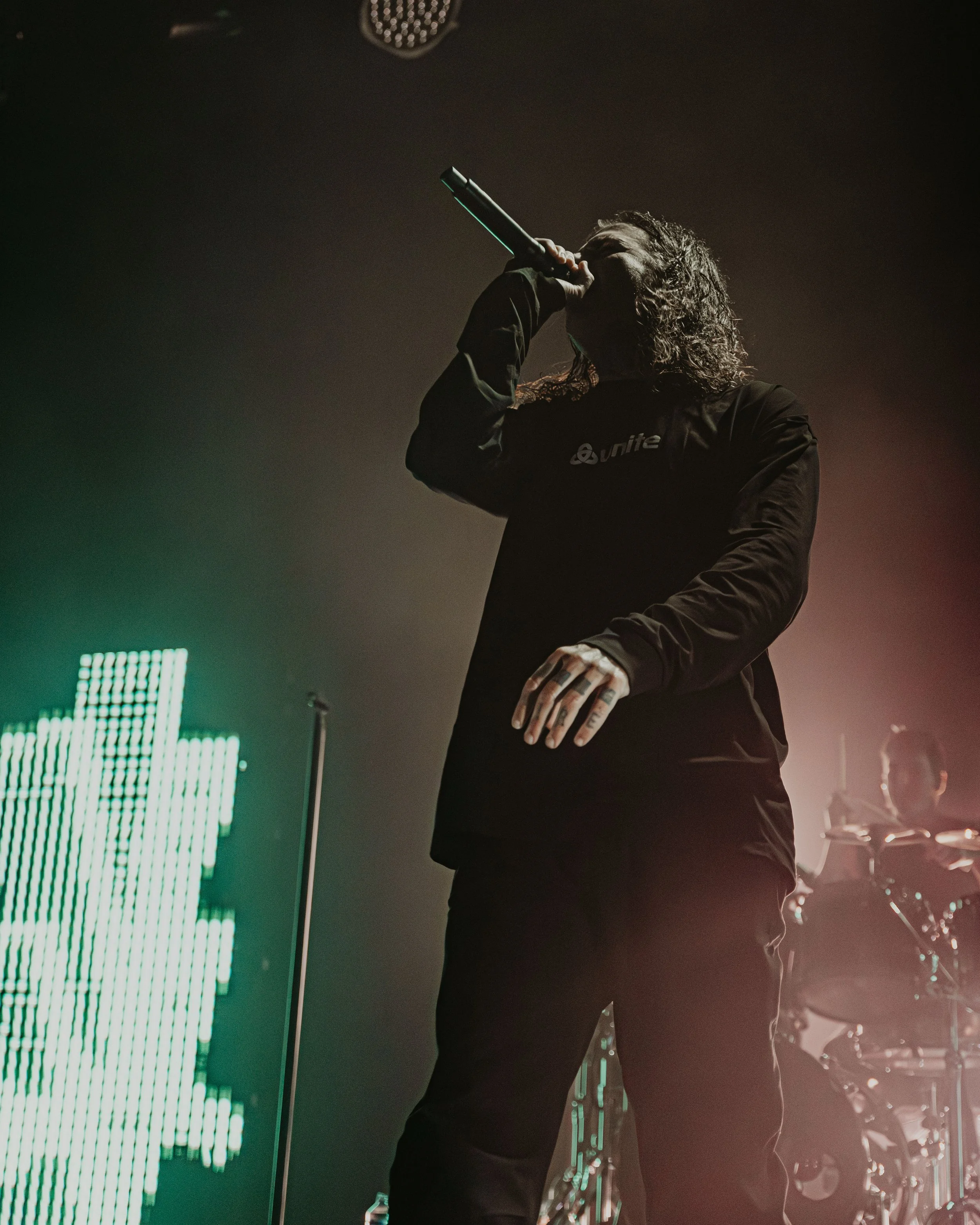 1. The Amity Affliction-5.jpg