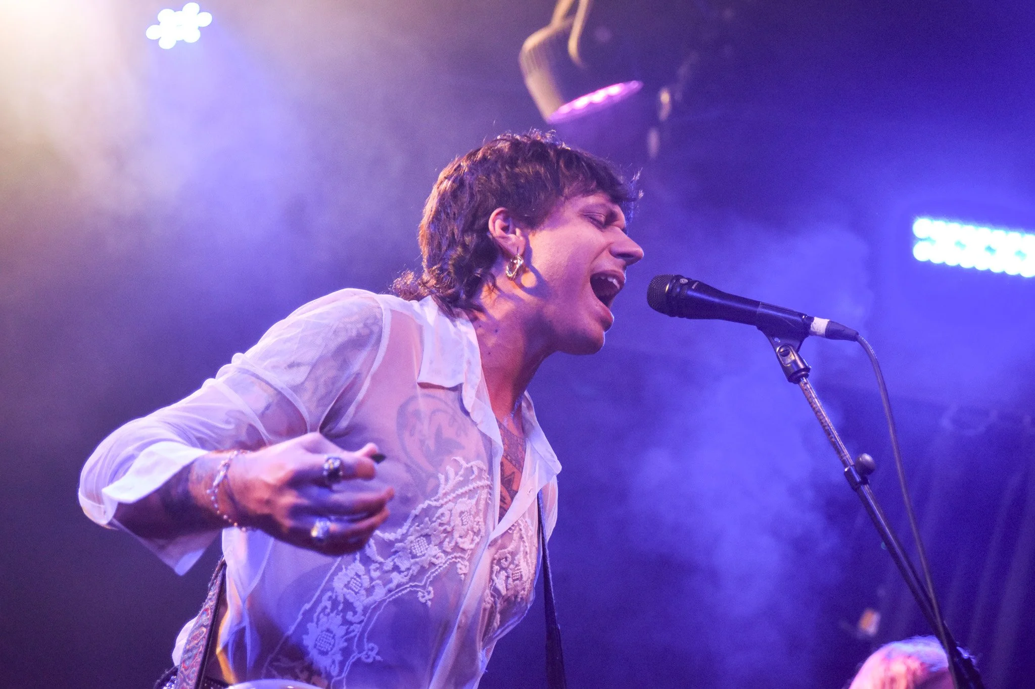 1. Velvet Trip (2).jpg