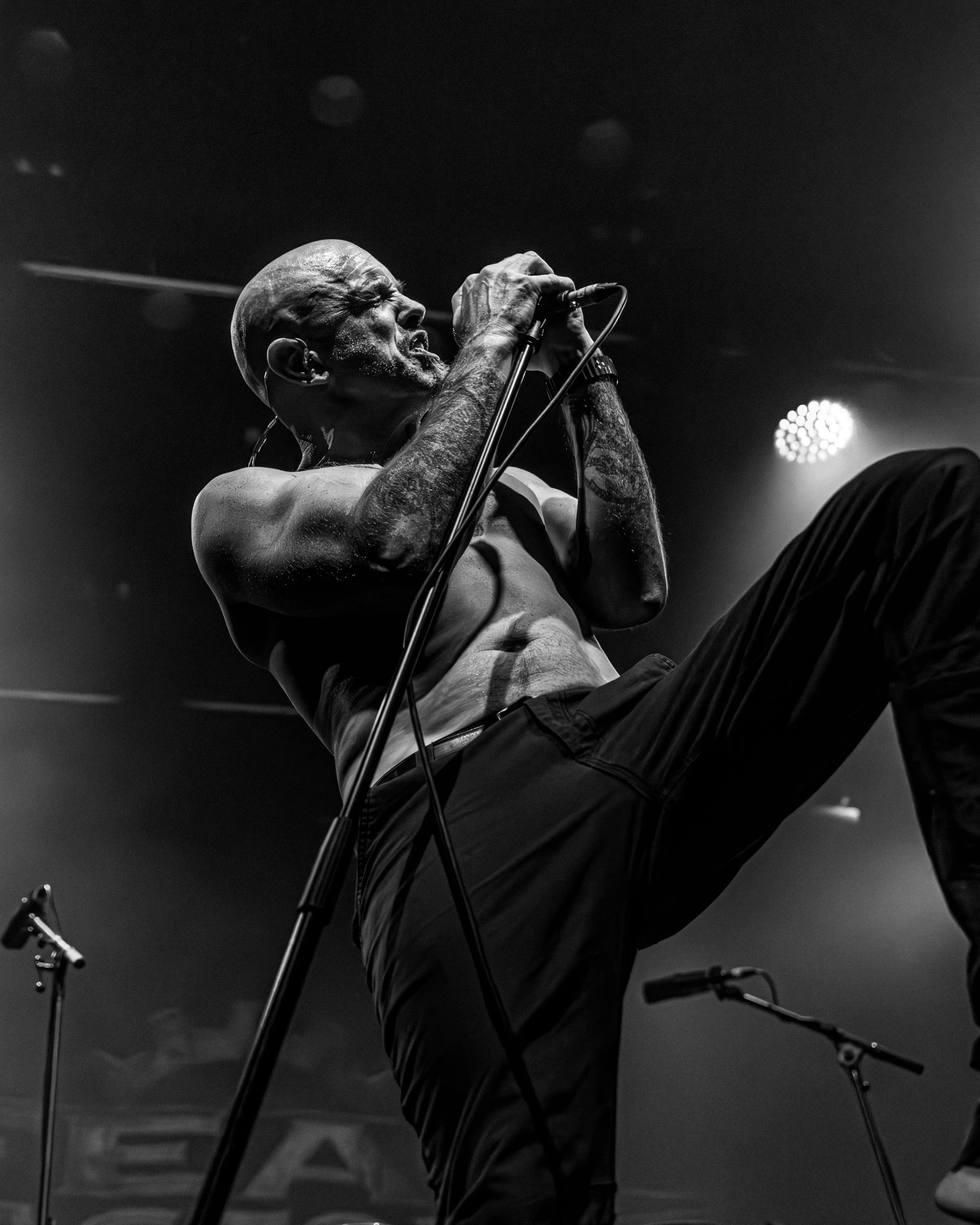 2. Psycroptic-4.jpg