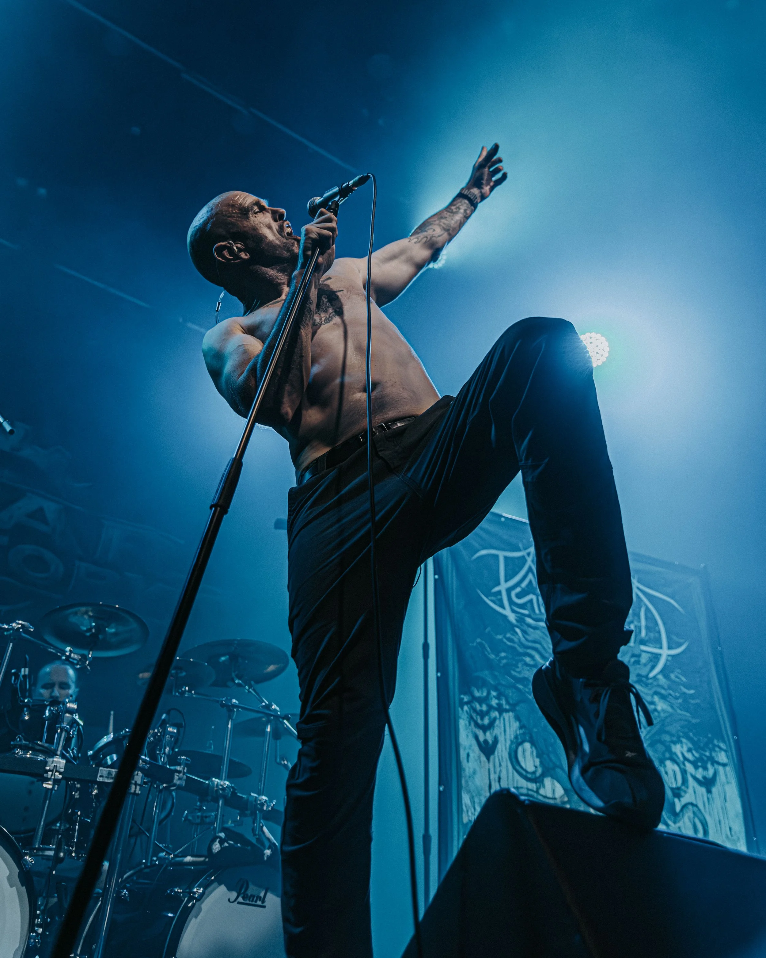 2. Psycroptic-7.jpg