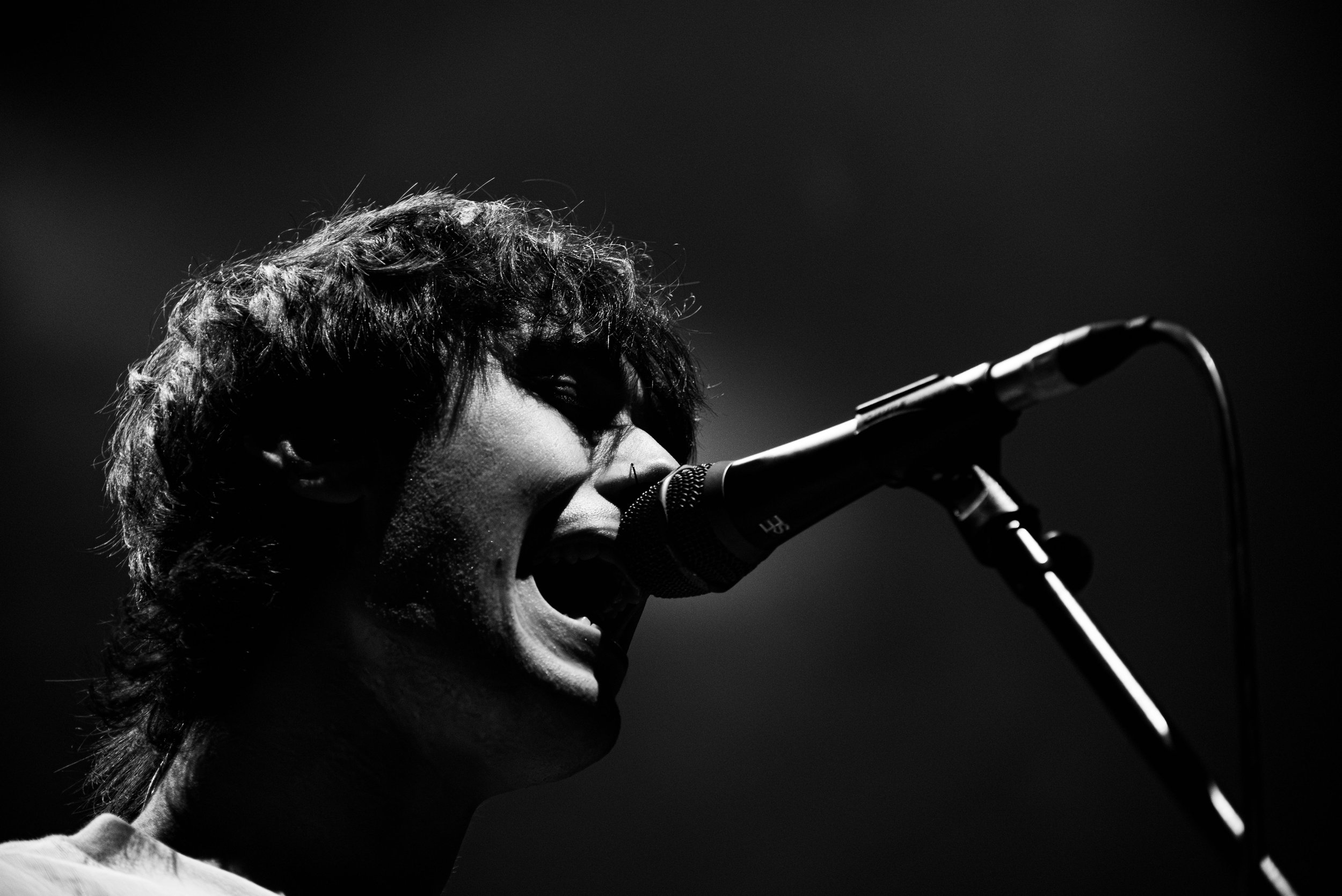 THE TULLAMARINES_TOM GOLSWORTHY_20260607-1.jpg