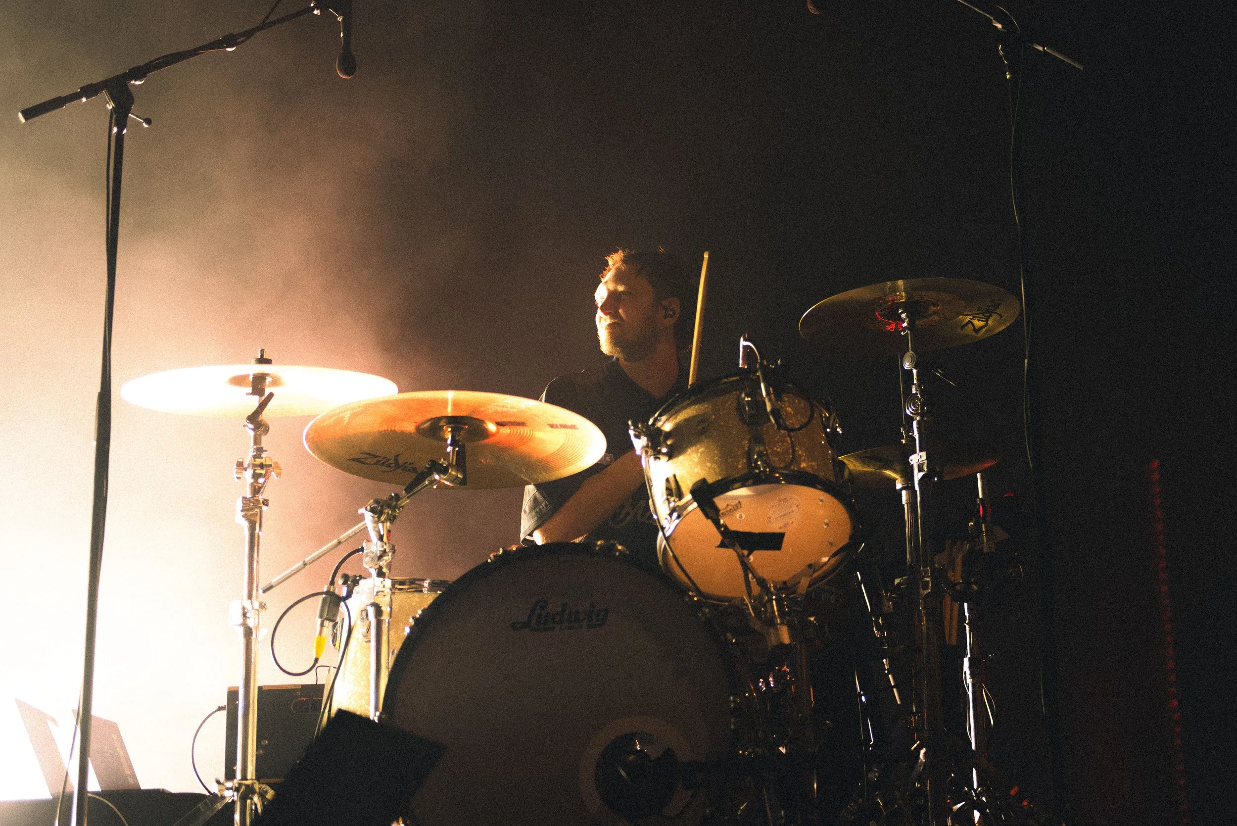THE JUNGLE GIANTS_TOM GOLSWORTHY_20260607-15.jpg