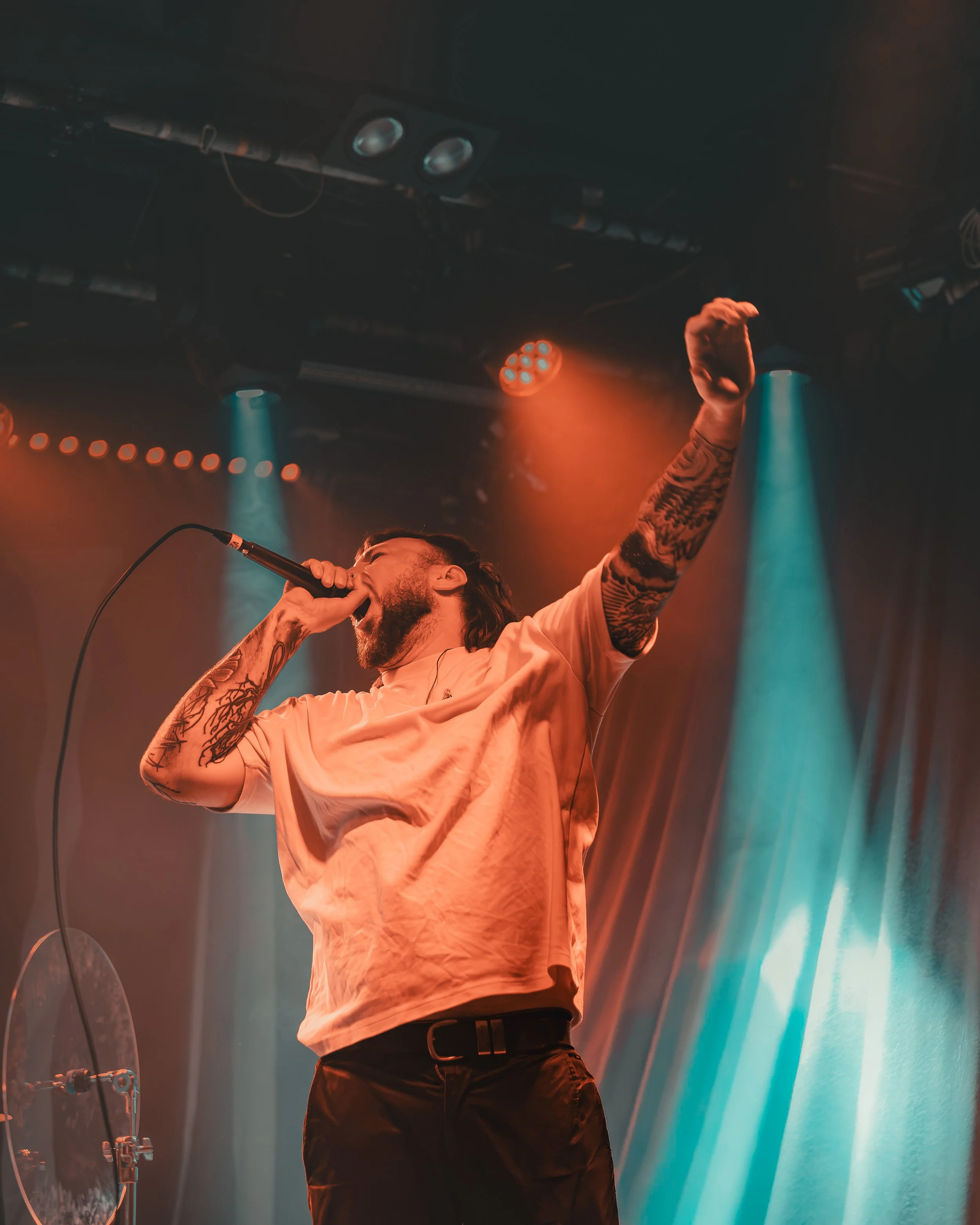 2.Harroway-7.jpg