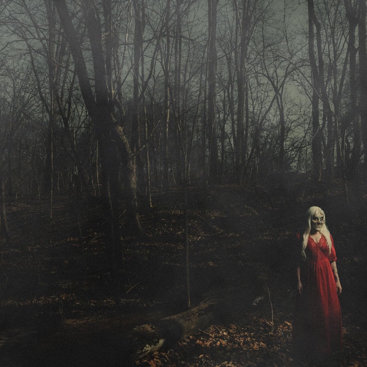 156/SILENCE RELEASE NEW ALBUM&nbsp;FROM A DISTANCE / TOURING AUSTRALIA IN FEBRUARY 2027